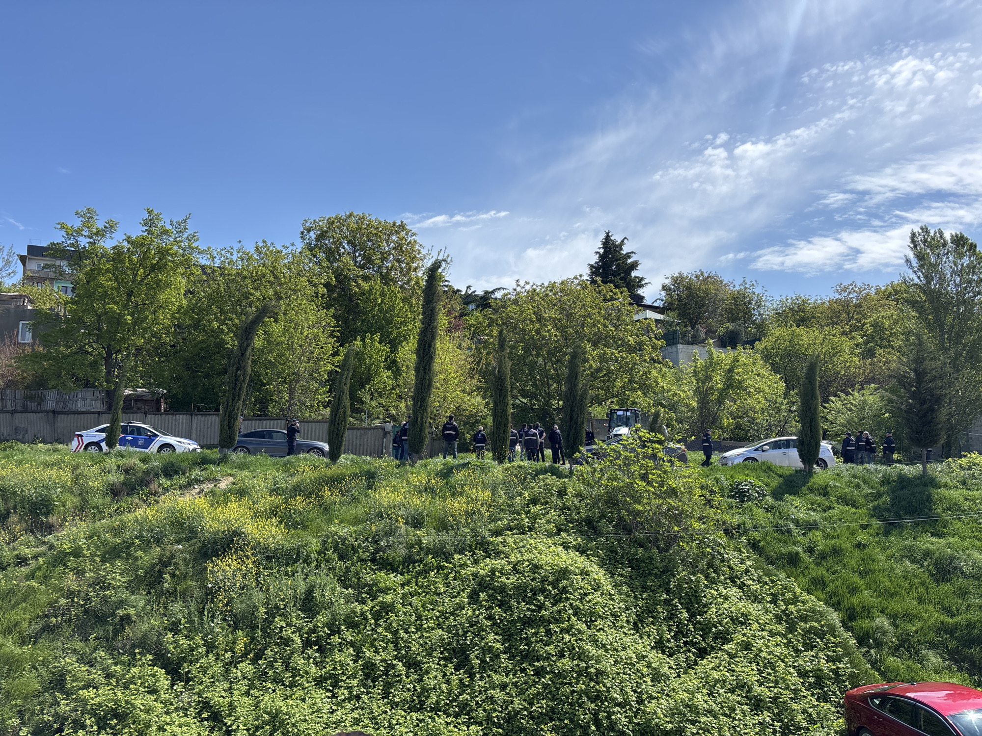 The image shows a street scene on a sunny day in Tbilisi, Georgia. A group of people, including uniformed officers, are gathered on a grassy embankment next to a road with several parked vehicles. The vehicles include a police car with white and blue markings, a gray sedan, a white car, and a tractor. The group appears to be observing or investigating something. The environment consists of lush greenery, including trees, shrubs, and a variety of plants covering the embankment. The sky is blue with scattered clouds.