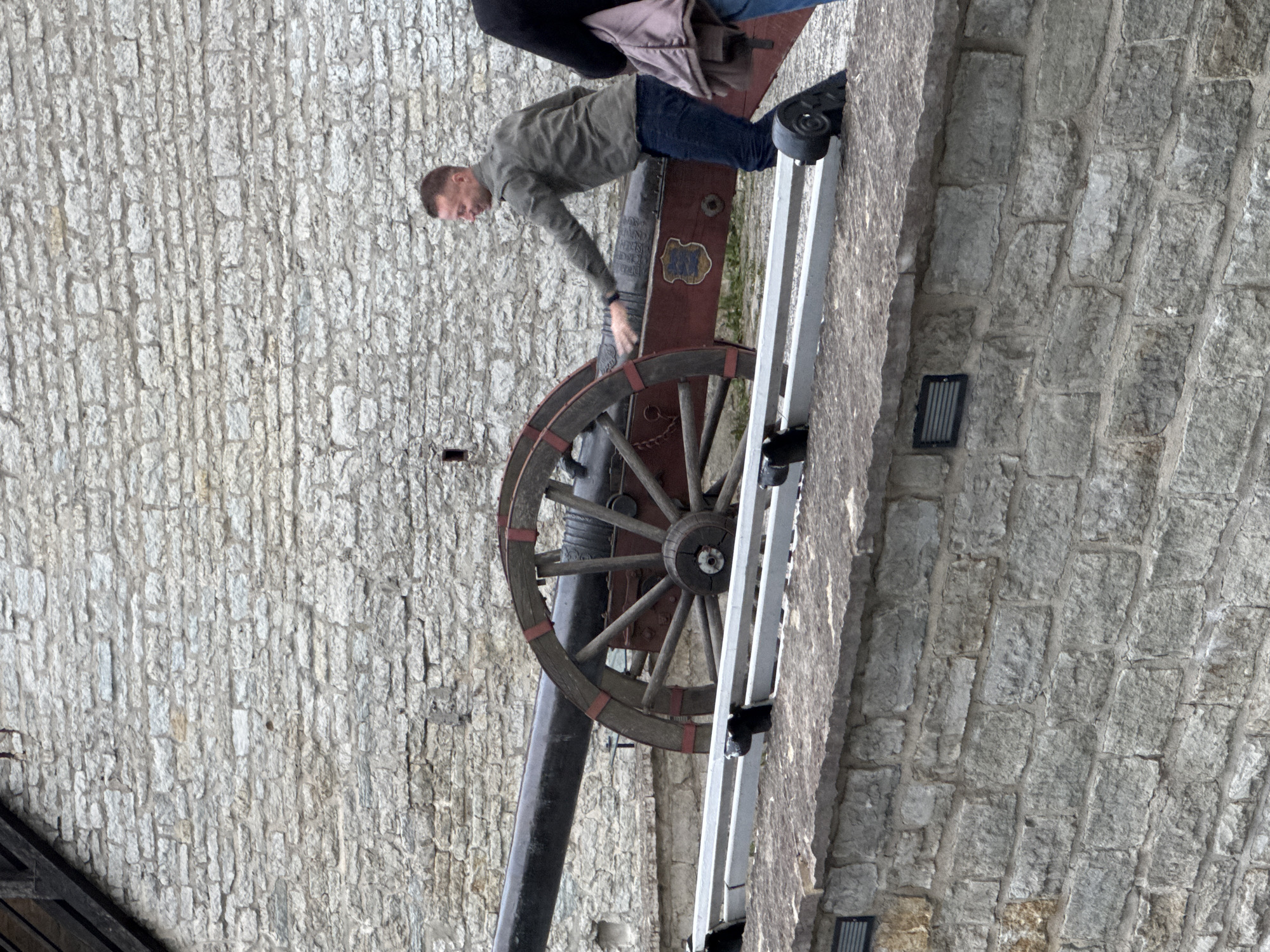 A person is standing on a ladder next to an old cannon. The cannon is made of wood and metal and has a large wooden wheel. The person is wearing a green shirt and blue jeans and appears to be looking at the cannon. The scene is set against a stone wall. The lighting suggests it is daytime. The person's posture and gaze suggest they are examining or interacting with the cannon. The location is identified as Tallinn, Estonia, implying a historical context for the cannon. There is a crest or emblem visible on the side of the cannon, but the text within it is not legible.