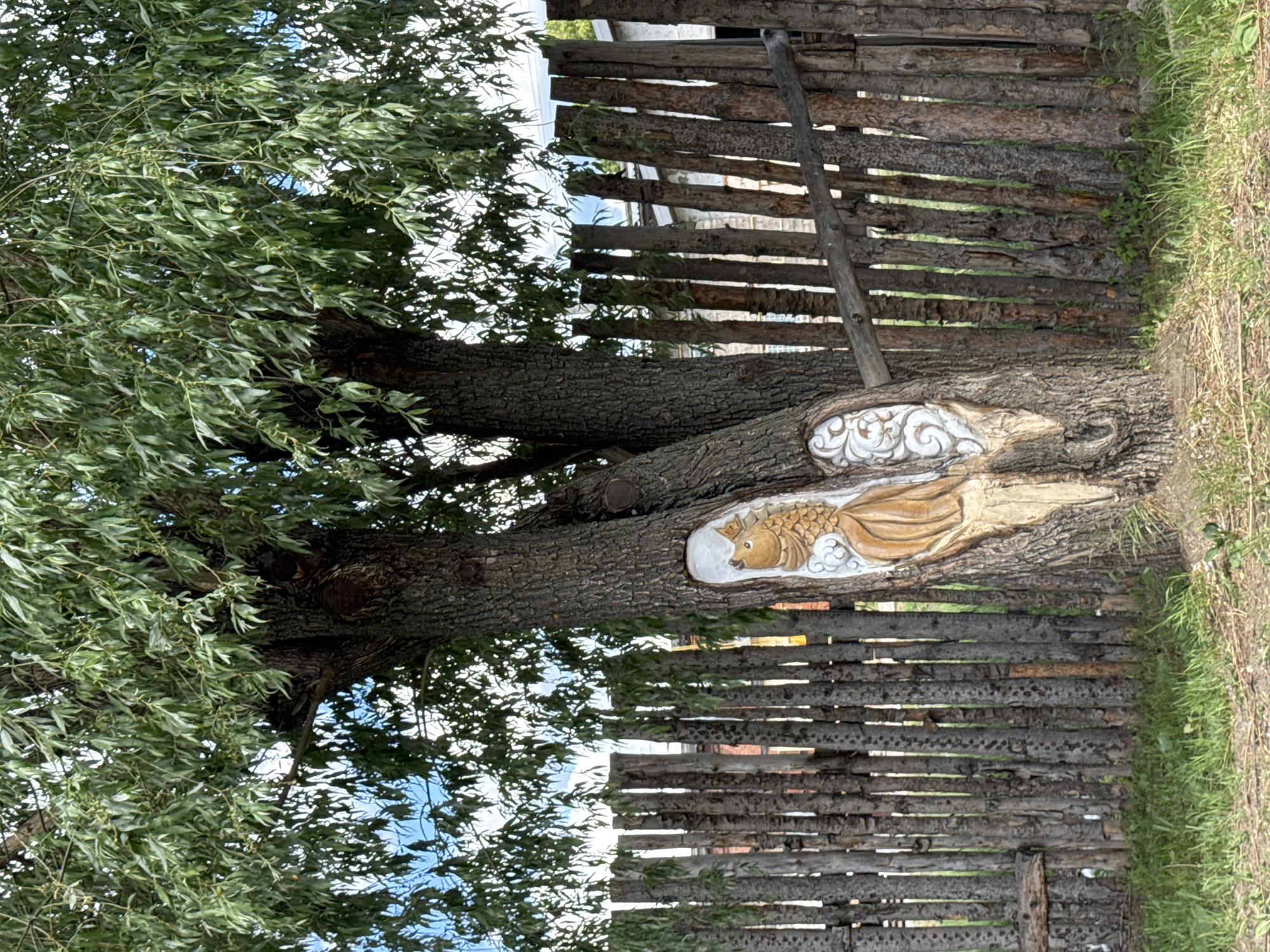 The image shows a tree trunk with carved artwork of a fish on the side, positioned near a fence constructed from small logs and branches. The tree is on the left side of the frame and has abundant green foliage. A grassy area is visible on the right side of the fence. The setting is in Chaikovsky, Russia.