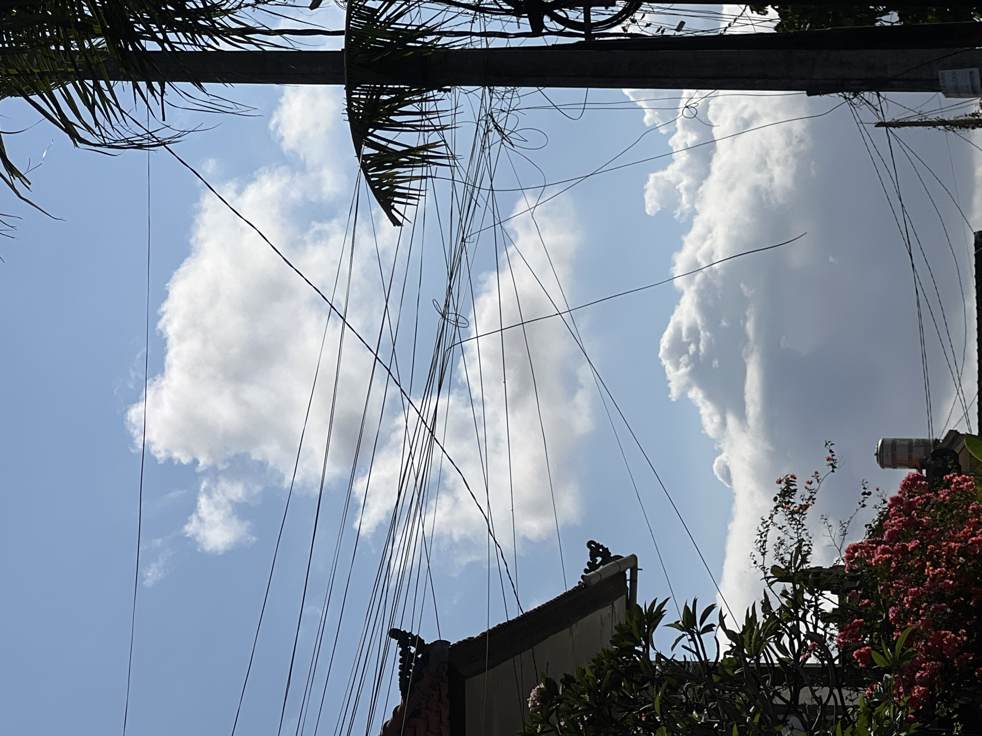 The image depicts a sky filled with white clouds against a clear blue sky, as seen from street level in Denpasar, Indonesia. Overhead, a dense network of tangled electrical wires crisscrosses the frame, some of them forming loops and sags. To the left, a portion of a building's roof with red tiles and decorative black figures is visible, with lush green foliage and vibrant pink flowers in the foreground. To the right, a dark silhouette of a palm tree trunk and its fronds rises vertically, also partially obscured by the wires. The overall impression is a view of the sky, punctuated by man-made infrastructure and natural elements, indicative of a tropical urban environment.