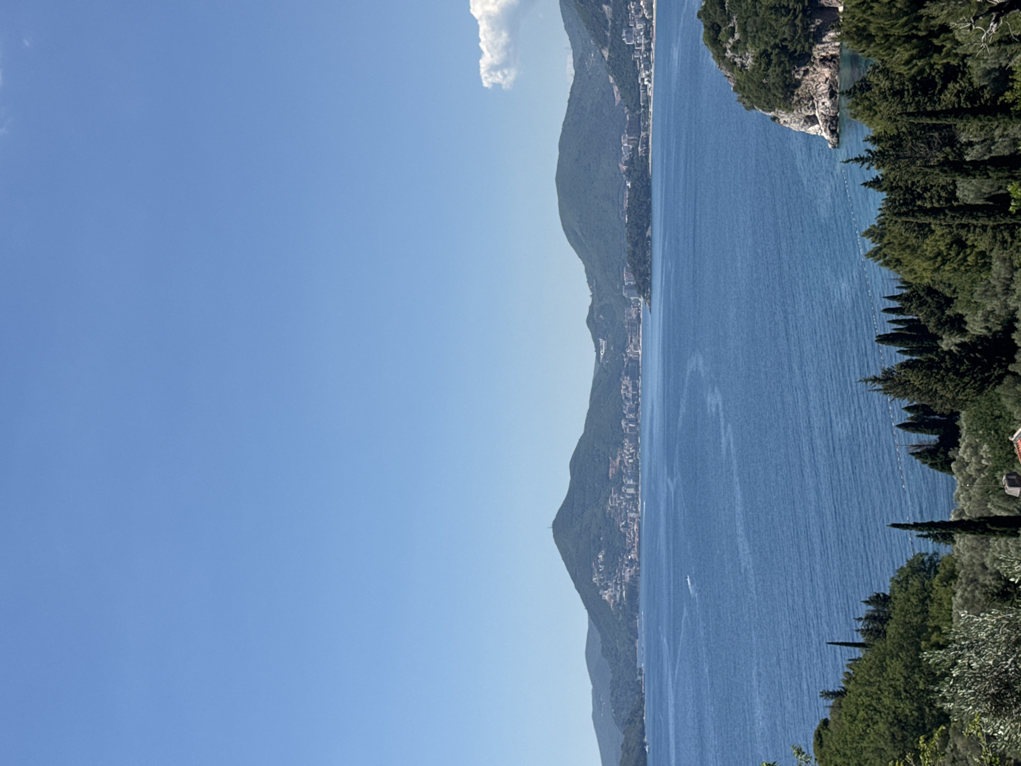 The image shows a landscape in Sveti Stefan, Montenegro. The scene includes a clear blue sky, a body of water, a coastline with hills and buildings, and vegetation in the foreground. The water has visible ripples, suggesting a breeze. The hills are covered in greenery, with built-up areas along the coastline. Vegetation, including trees and bushes, is present on the right edge of the frame.