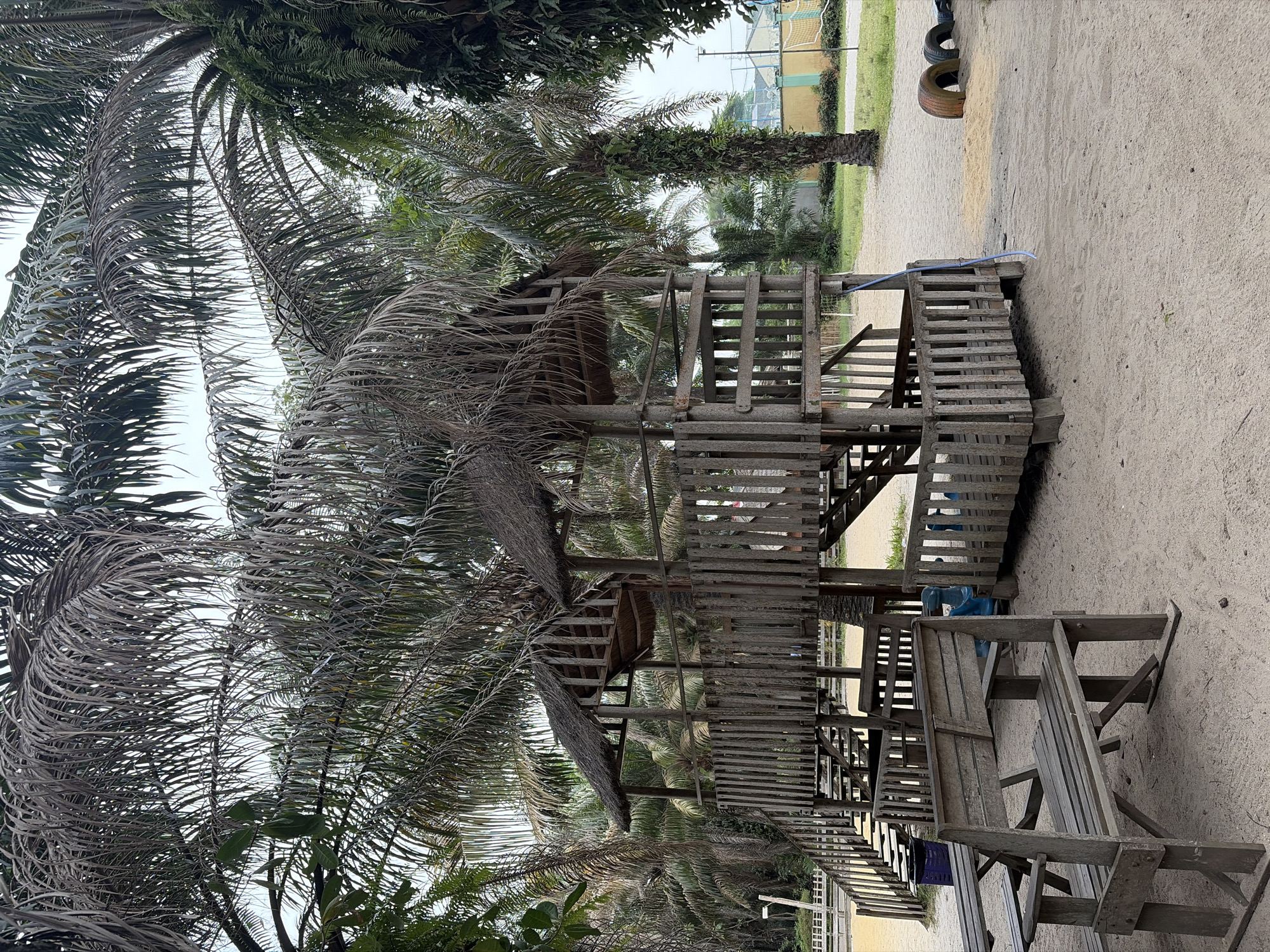 The scene depicts an outdoor recreational area located in Lekki, Nigeria. The primary subject is a multi-level wooden playground structure constructed from weathered planks and posts, featuring railings, multiple staircases, and two elevated platforms capped with thatched roofs. In the immediate foreground, to the left of the playground, a weathered wooden picnic table with two attached benches is present. A dark blue trash receptacle is situated behind these benches. The ground across the entire visible area consists of light-colored sand.
Numerous palm trees, many displaying both green and dried, drooping fronds, dominate the overhead and background vegetation. One prominent palm tree on the right side of the frame has green ferns growing on its trunk. To the right of the playground structure, several dark, worn tires are partially buried in the sand. A light blue pipe or hose is affixed to one of the playground's support posts on its right side.
In the background, beyond a strip of green grass, a low-rise building with a light yellow facade and a green base is visible. A blue fence runs along the perimeter behind this building. A white volleyball net stands in the mid-ground, indicating a sports facility. The sky is overcast, providing diffused lighting to the scene. No individuals are present, and no actions or interactions are occurring.