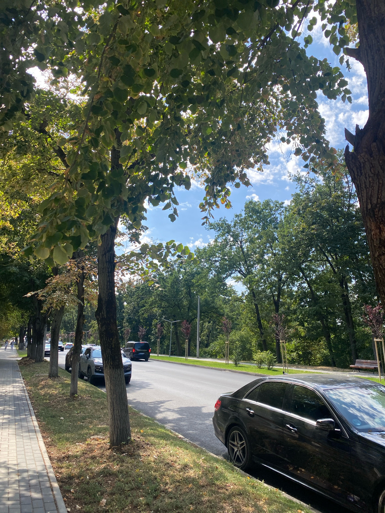 The image depicts a street scene in Chișinău, Moldova, likely during daytime. The foreground is dominated by a black Mercedes-Benz sedan parked along the right side of a paved road. To the left of the road, a sidewalk is visible, constructed with light-colored paving stones. A row of trees lines the sidewalk, casting dappled shadows on the pavement and grass. The trees have green foliage, indicating a warm season.
Further down the road, several other vehicles are present, including a silver SUV and a dark-colored van. On the far side of the road, a dense line of mature trees forms a natural barrier, suggesting a park or wooded area. The sky above is blue with scattered white clouds. A park bench is visible on the right side of the frame, nestled among the trees.
In the distance on the left, a few pedestrians are walking along the sidewalk. Streetlights are also visible along the roadside. The overall impression is of a well-maintained urban environment with ample greenery.