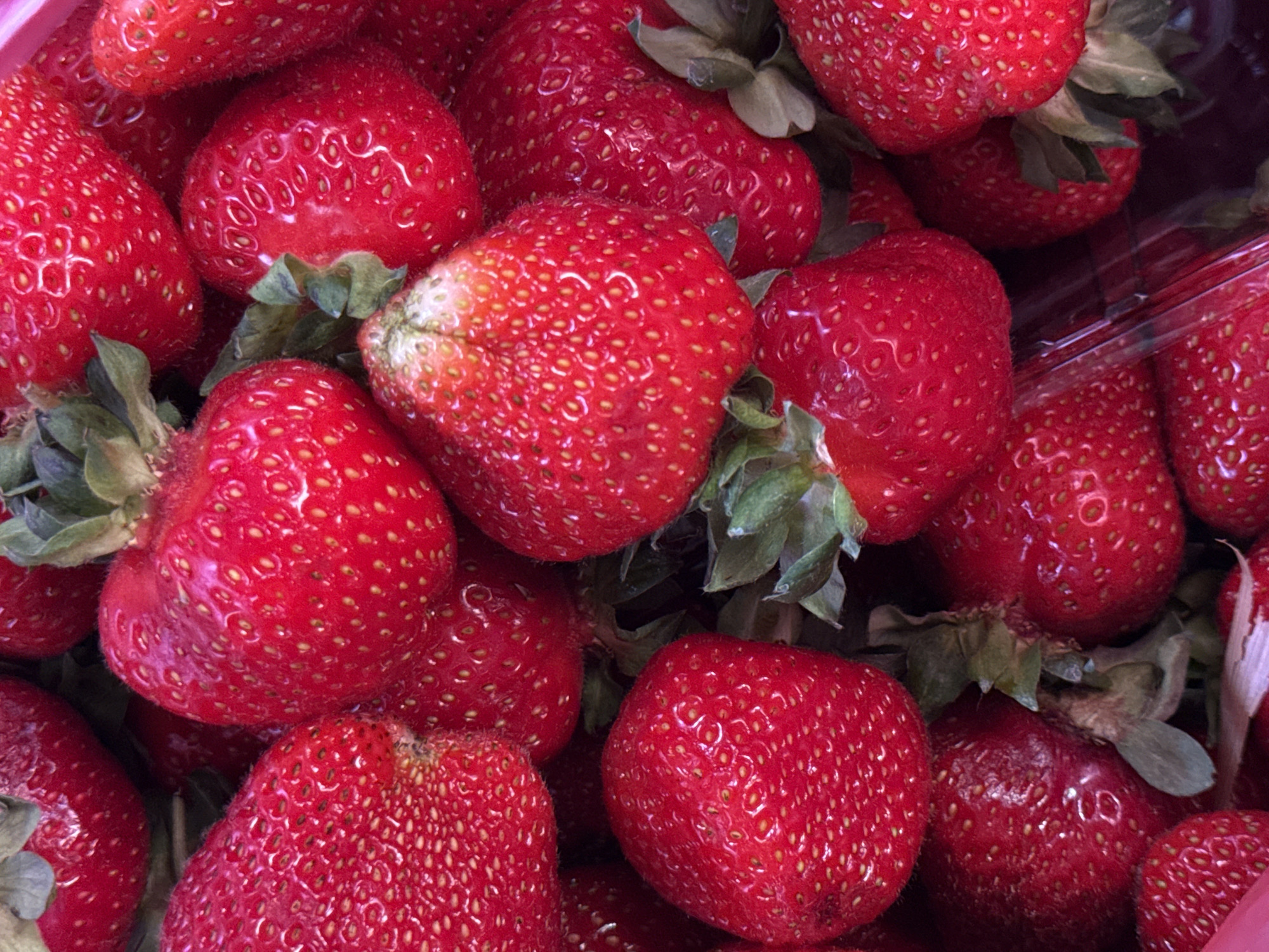 A close-up, top-down view shows a pile of fresh, ripe strawberries. The strawberries are a vibrant red color, with many seeds visible on their surfaces. Some of the strawberries have green stems and leaves attached. The lighting is bright, highlighting the texture and natural imperfections of the fruit. The image appears to have been taken indoors, likely in a market or grocery store setting, as suggested by the presence of what appears to be a pink plastic container edge at the bottom left of the frame. There are no people or specific landmarks visible that would indicate a location in Khimki, Russia.