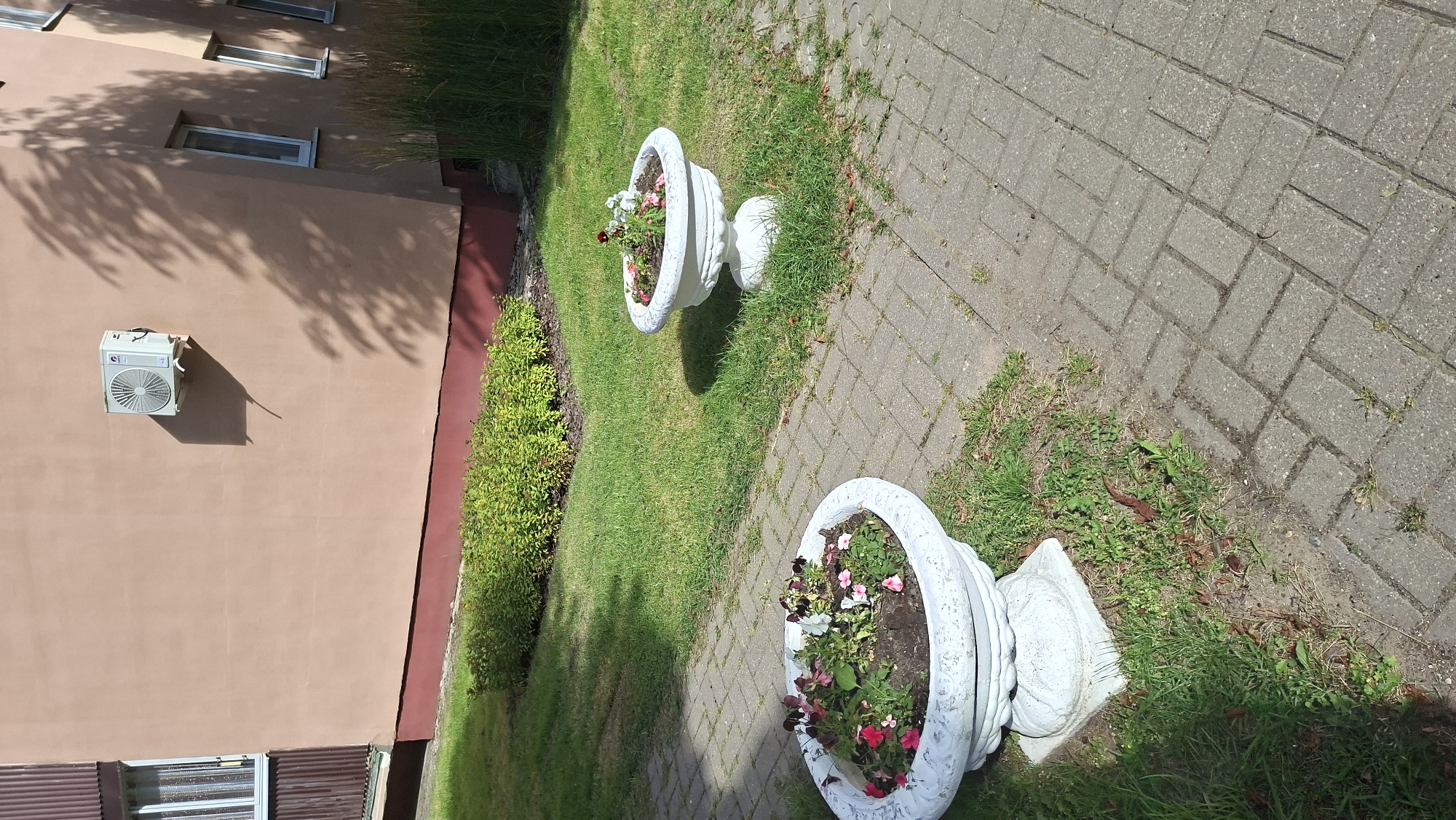 This image depicts a street view in the city of Myadzyel, Belarus, featuring an outdoor scene with architectural elements and vegetation. In the foreground, a paved walkway composed of grey rectangular bricks runs diagonally across the image. Flanking the walkway are areas of green grass with scattered weeds.
Two white, ornate planters are visible. The planter on the left is larger and closer to the viewer, filled with a mix of pink and red flowers. The planter on the right is smaller and positioned further back, containing pink and white flowers.
Behind the planters, a neatly manicured hedge of green bushes runs horizontally. In the background, the facade of a building is visible, painted in a light brown or tan color. A white air conditioning unit is mounted on the building wall, casting a shadow. A portion of a window with a dark brown frame is also visible on the left side of the building. Tall, dry grass or reeds grow on the right side of the building. The overall scene is bathed in natural sunlight, creating distinct shadows from the building and foliage. No people are present in the image.