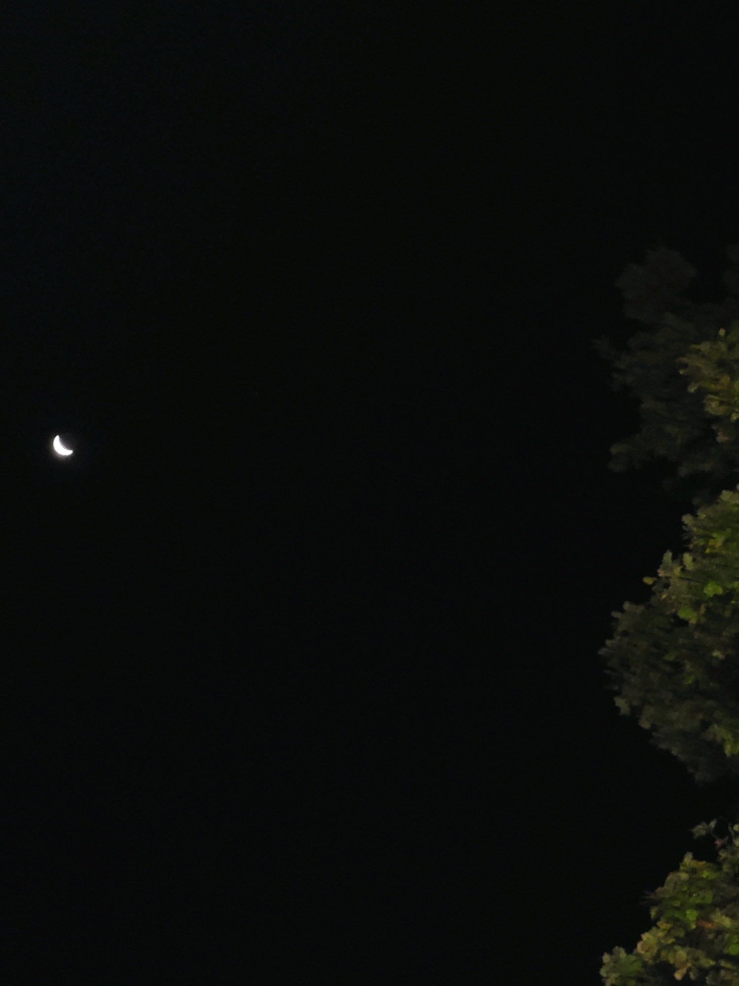 The image shows a dark night sky with a crescent moon visible in the upper left quadrant. On the right side of the image, the branches and leaves of a tree are visible, illuminated by an unseen light source. The background is a deep black, indicative of nighttime. The location is specified as Ozolnieki, Latvia, though no specific landmarks or urban elements are discernible to confirm this. There are no people or animals in the frame, and no actions or interactions are depicted. The scene is static and captures a moment of a night sky with celestial and terrestrial elements.