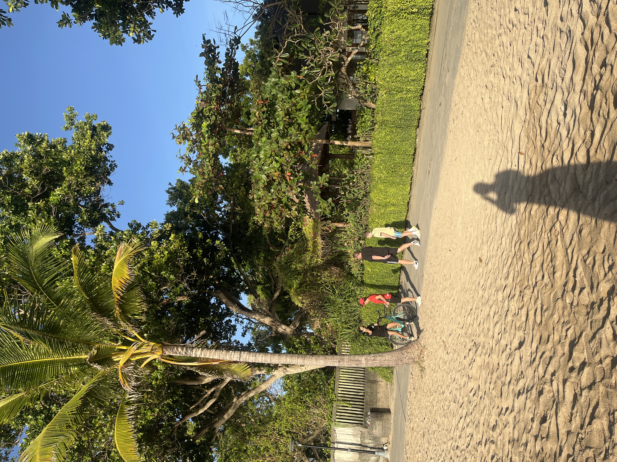 A group of four people are walking on a paved path beside a sandy beach and a dense green hedge. A young person on a bicycle, wearing a black shirt, is stopped next to another person in a red shirt and red cap. Behind them, two adult males, one in a black shirt and the other in a yellow shirt, walk forward. A palm tree with yellowing fronds is on the left side of the image, casting a shadow. The background consists of lush green trees and vegetation, with a glimpse of a building with a thatched roof. The sky is clear and blue. The scene appears to be a public walkway or park area, likely in Denpasar, Indonesia, given the tropical vegetation and beach setting. The image is taken from a low angle, capturing the sandy ground in the foreground and the figures from the knees up.