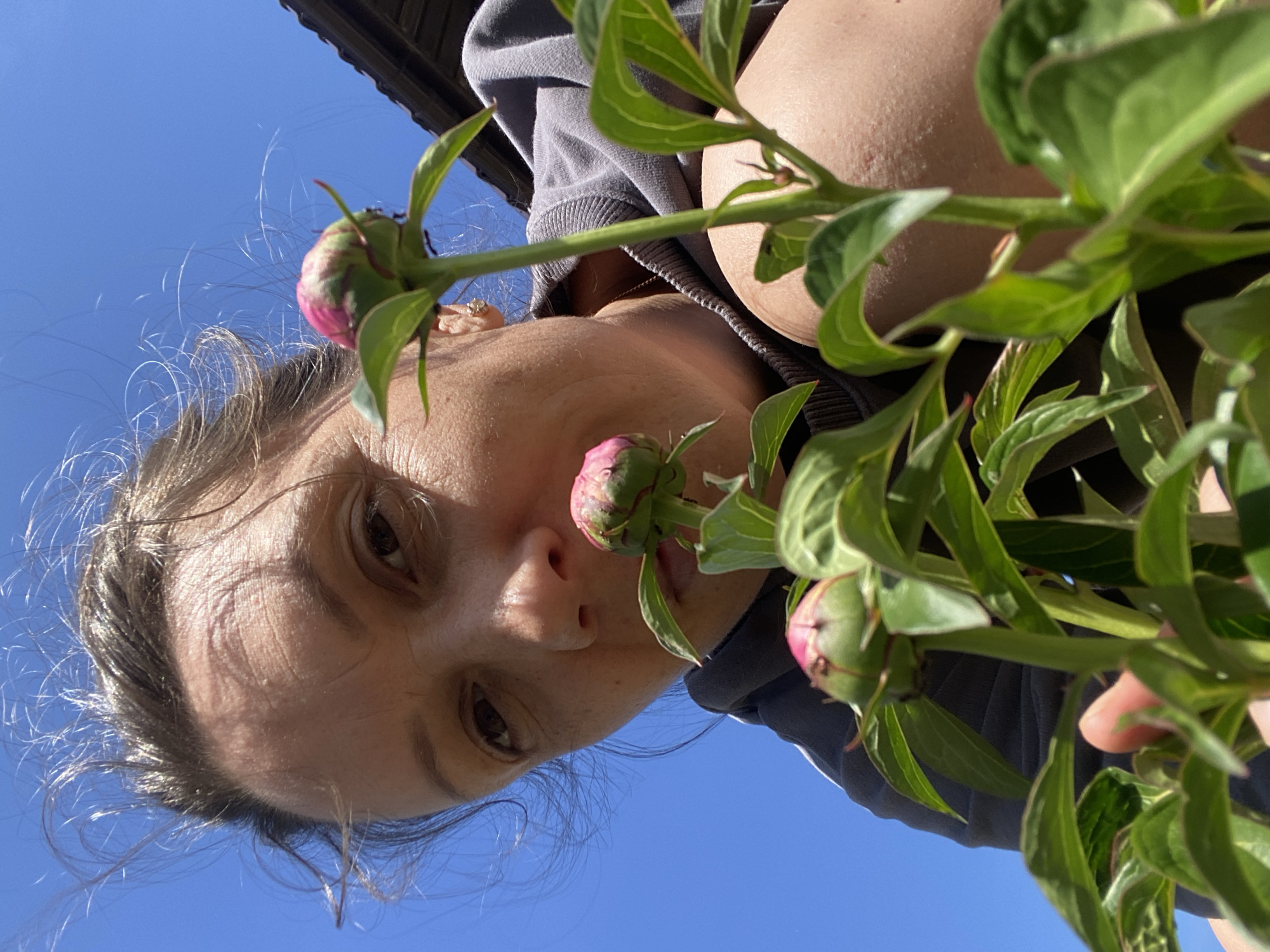 A low-angle outdoor photograph, captured in Chaikovsky, Russia, features an adult female looking directly into the camera. Her face is illuminated by direct sunlight, highlighting dark hair, visible forehead wrinkles, and dark eyes. She is wearing a grey hooded sweatshirt, and a light-colored stud earring is visible in her right ear. In the foreground, several green peony flower buds with prominent pink tips are present amidst green foliage. The woman's face is positioned close to the plant, indicating an interaction or observation. The background displays a clear blue sky, with a dark architectural structure, possibly a roof, partially visible in the upper right.