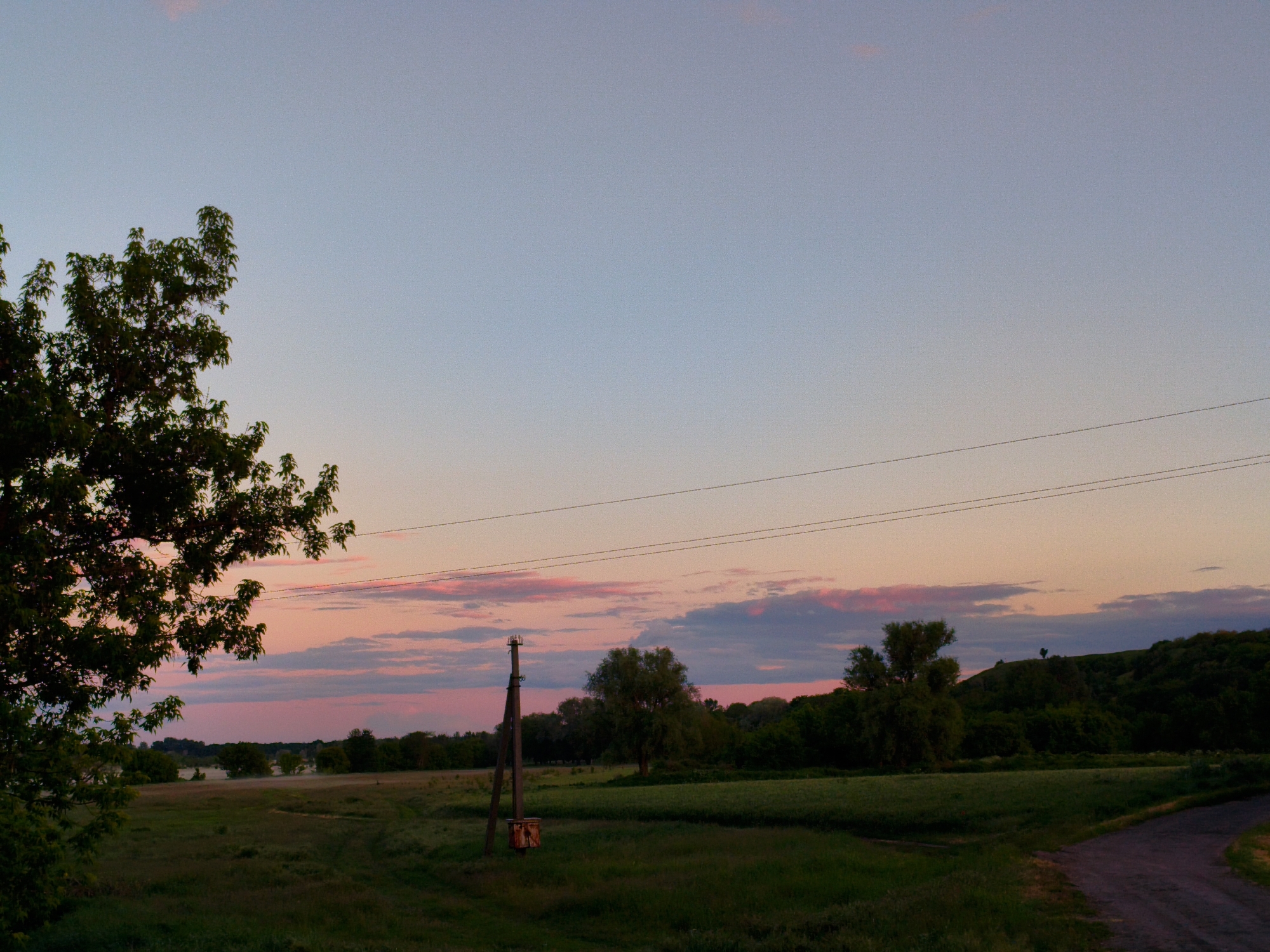 Captured in Ustyvytsia, Ukraine, the image presents a landscape at dusk, with a vivid pink and orange-tinged sky. Power lines stretch across the frame. A tree stands on the left, framing the scene. A utility pole is visible. The landscape consists of a grassy field dotted with trees. A road cuts through the right side of the image. A low hill, covered in trees, forms the backdrop.