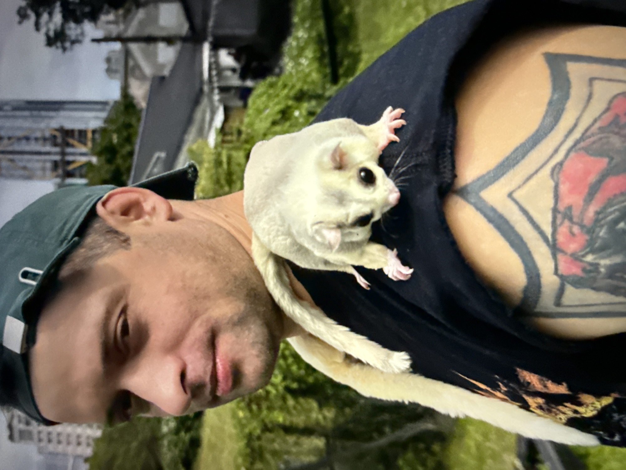 A man wearing a dark green baseball cap and a black t-shirt with a tattoo on his left shoulder is outdoors, looking to his left. A small, light-colored animal, possibly a sugar glider, is perched on his right shoulder, with its tail draped around his neck. The background shows green foliage and buildings, suggesting an urban or suburban environment. The architecture in the background, specifically the tall building under construction and the tiled roofs of the houses, are characteristic of Taipei, Taiwan.