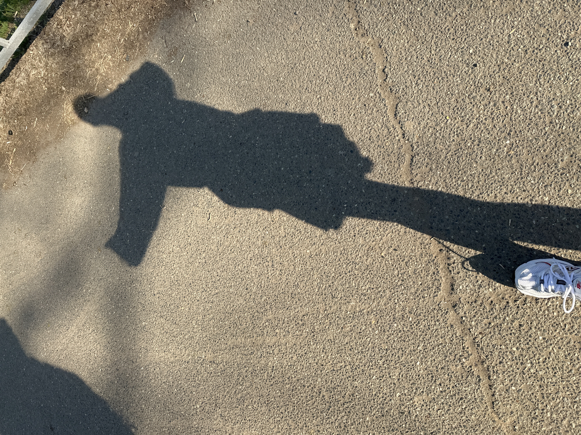 The image shows a shadow cast on a paved surface next to a metal railing. The shadow appears to be of a person standing with one leg extended forward and an arm outstretched. A white sneaker is visible at the end of the extended leg. The paving is tan/grey with a rough texture. The railing is light-colored metal, and appears to border an area containing mulch or other organic material. The location is likely an outdoor paved area near a walkway. There are no indicators in the image to determine whether the image was taken in Votkinsk, Russia.