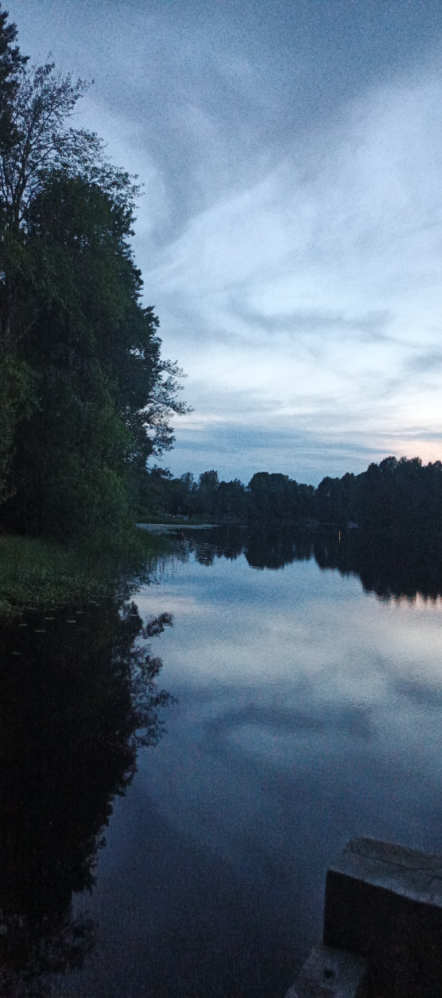 A vertical, high-angle shot captures a serene lake scene at dusk in Melnikovo, Russia. The sky is a gradient of deep blue and pale blue, with wispy white clouds streaking across it. The surface of the lake is dark and reflective, mirroring the trees and sky. On the left side of the image, a dense line of dark green trees forms a natural border along the water's edge. The reflection of these trees is visible in the still water. The opposite shore is also lined with trees, creating a sense of depth and seclusion. In the foreground, on the right side of the image, a portion of a wooden dock or pier is visible, appearing worn and weathered. The overall atmosphere is peaceful and tranquil, suggesting a quiet evening by the water.