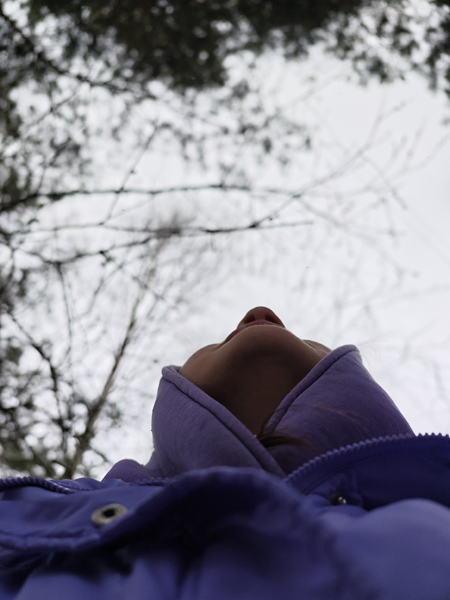 A low-angle shot looking upwards at a person's face and the sky. The person is wearing a purple hooded jacket. The hood is up, partially framing the face. Only the nose and chin are visible. The background consists of bare tree branches against an overcast sky. The picture was taken in Chaikovsky, Russia.
