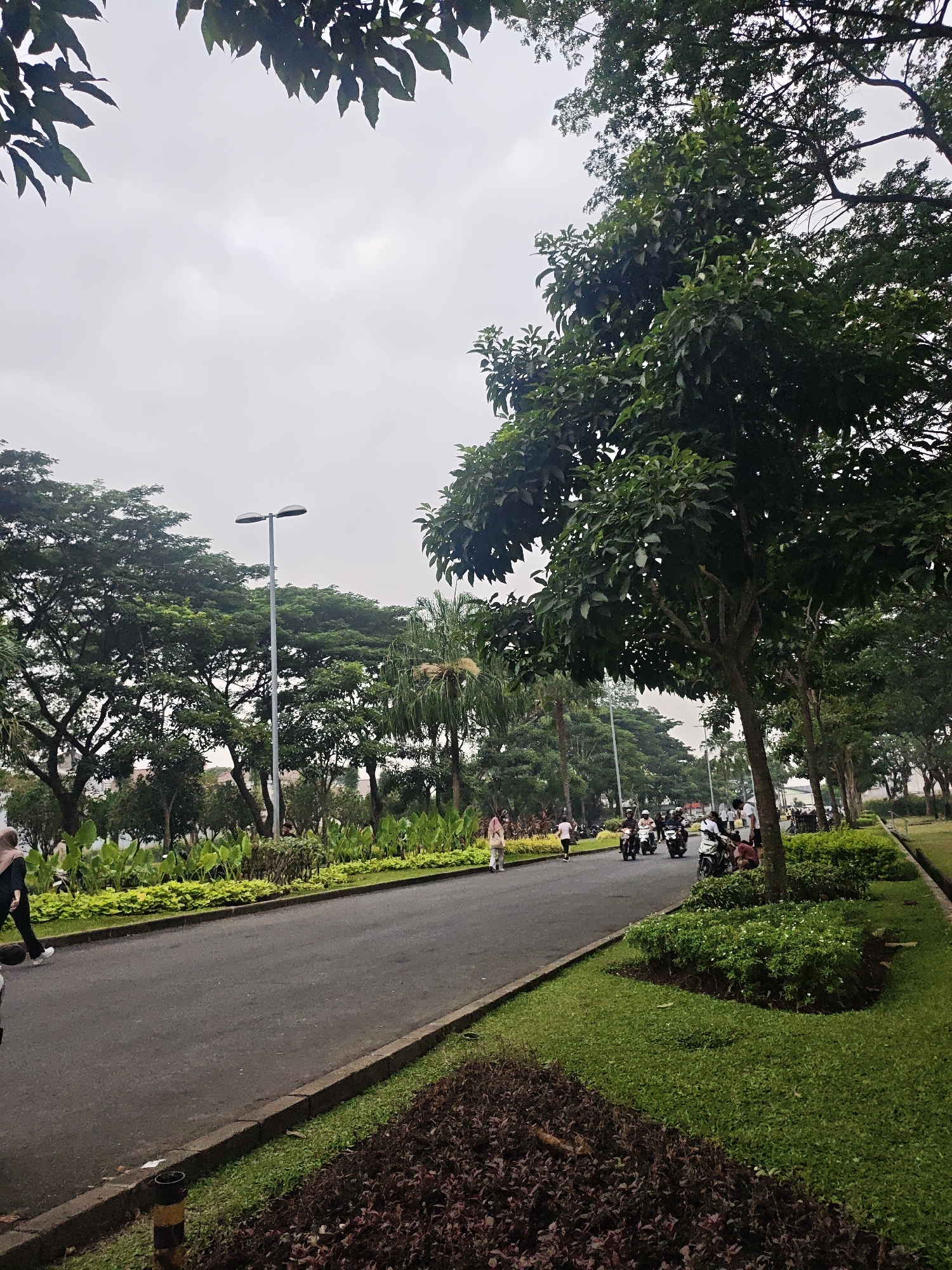 The image depicts an overcast day on a tree-lined road in the city of Bacin, Indonesia. A paved road runs diagonally from the lower left to the upper right of the frame. On the left side of the road, a sidewalk is visible, bordered by green grass and a low border of dark red foliage. Several people are walking and riding motorcycles on the road. On the right side of the road, a grassy median is lined with trees and bushes. A tall street lamp with two lights stands near the center of the frame. The sky is a uniform grey.