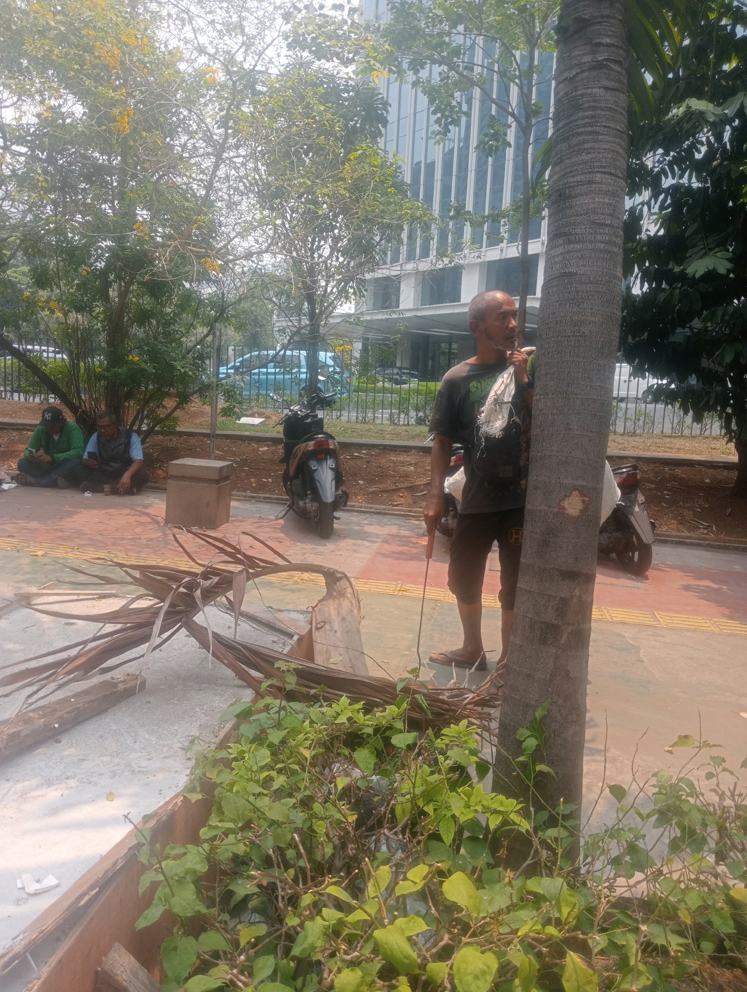 The image captures a street scene in South Jakarta, Indonesia, under a bright sky. A man with a shaved head and a goatee stands next to a large tree trunk, holding a stick in his right hand and a bag over his left shoulder. He wears a dark t-shirt and brown shorts. In the background, two men are seated on the ground beneath a tree, one wearing a green hooded jacket and a baseball cap, the other a blue t-shirt. A motorcycle is parked to the right of the seated men. Further in the background, a modern building with a glass facade and a blue vehicle are visible. The foreground of the image features scattered palm fronds and a planter filled with green foliage.