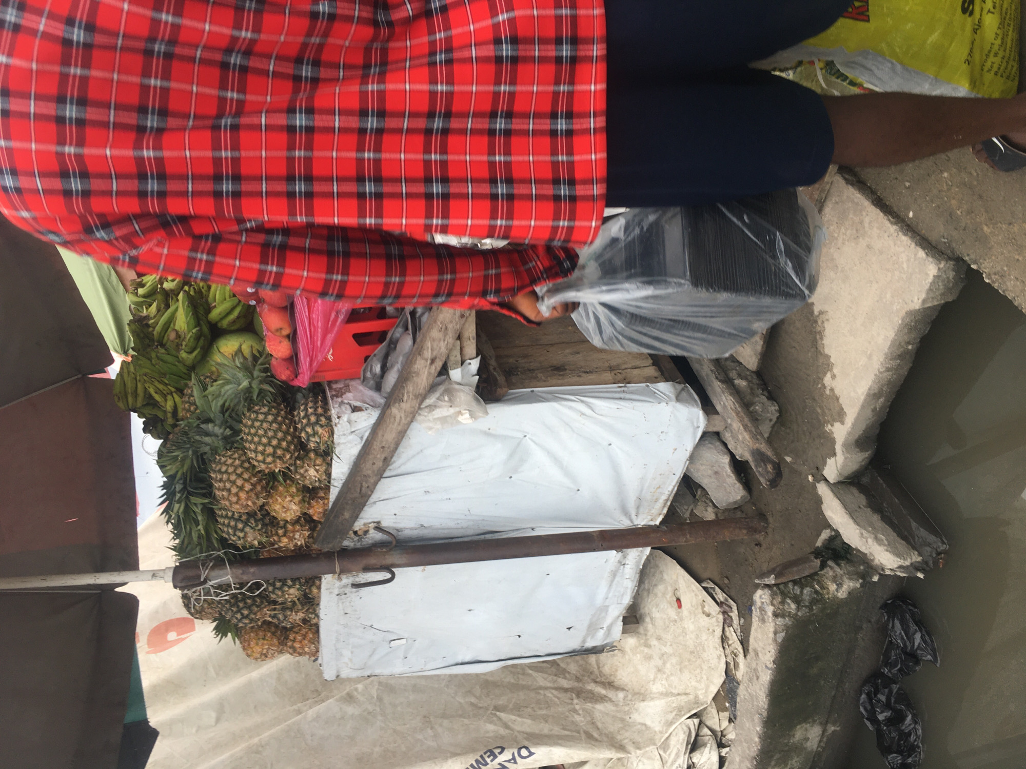 A person wearing a red plaid shirt and navy-colored pants stands at a makeshift fruit stand in Ado, Nigeria. The stand displays pineapples, bananas, and a red plastic crate filled with fruit, possibly tomatoes or apples. A white tarp covers the stand’s structure. The person is holding a black rectangular object wrapped in clear plastic. The stand appears to be situated near a waterway, with concrete debris and refuse visible along the edge.