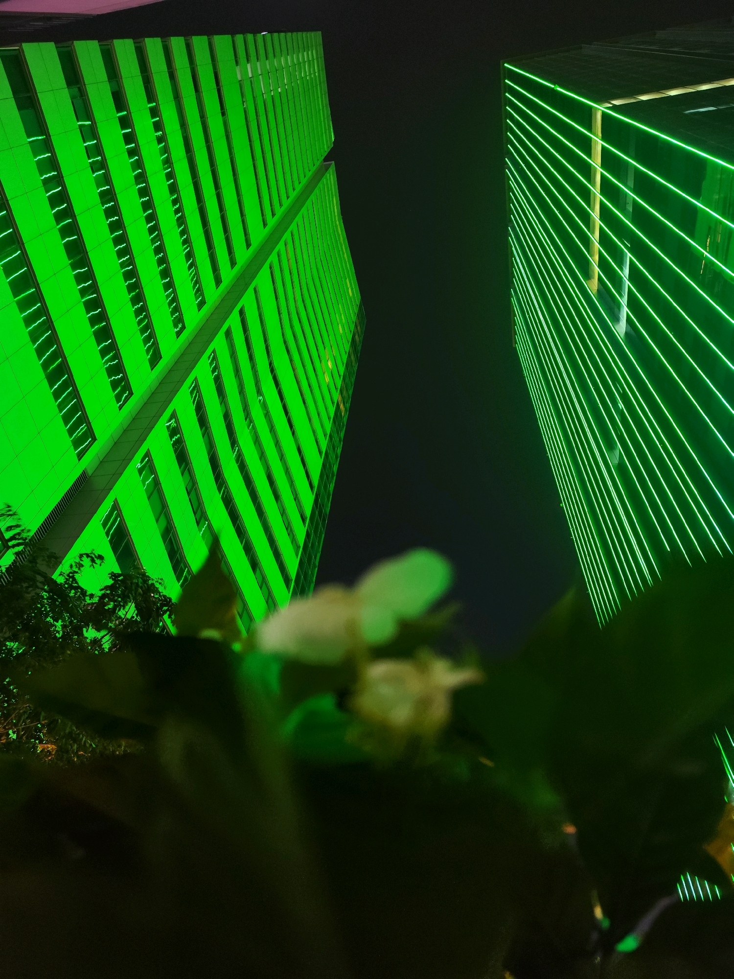 In Ho Chi Minh City, Vietnam, two modern skyscrapers are illuminated with vibrant green neon lights at night. One building, on the left, has vertical lines of light running down its facade, highlighting its architectural structure and numerous windows. To its right, a second skyscraper features horizontal neon green stripes that create a dynamic visual effect. In the foreground, out of focus, are dark green leaves and white flowers, suggesting the presence of vegetation in the immediate vicinity, possibly a park or decorative planting around the base of the buildings. The sky is dark, typical of nighttime in an urban setting.
