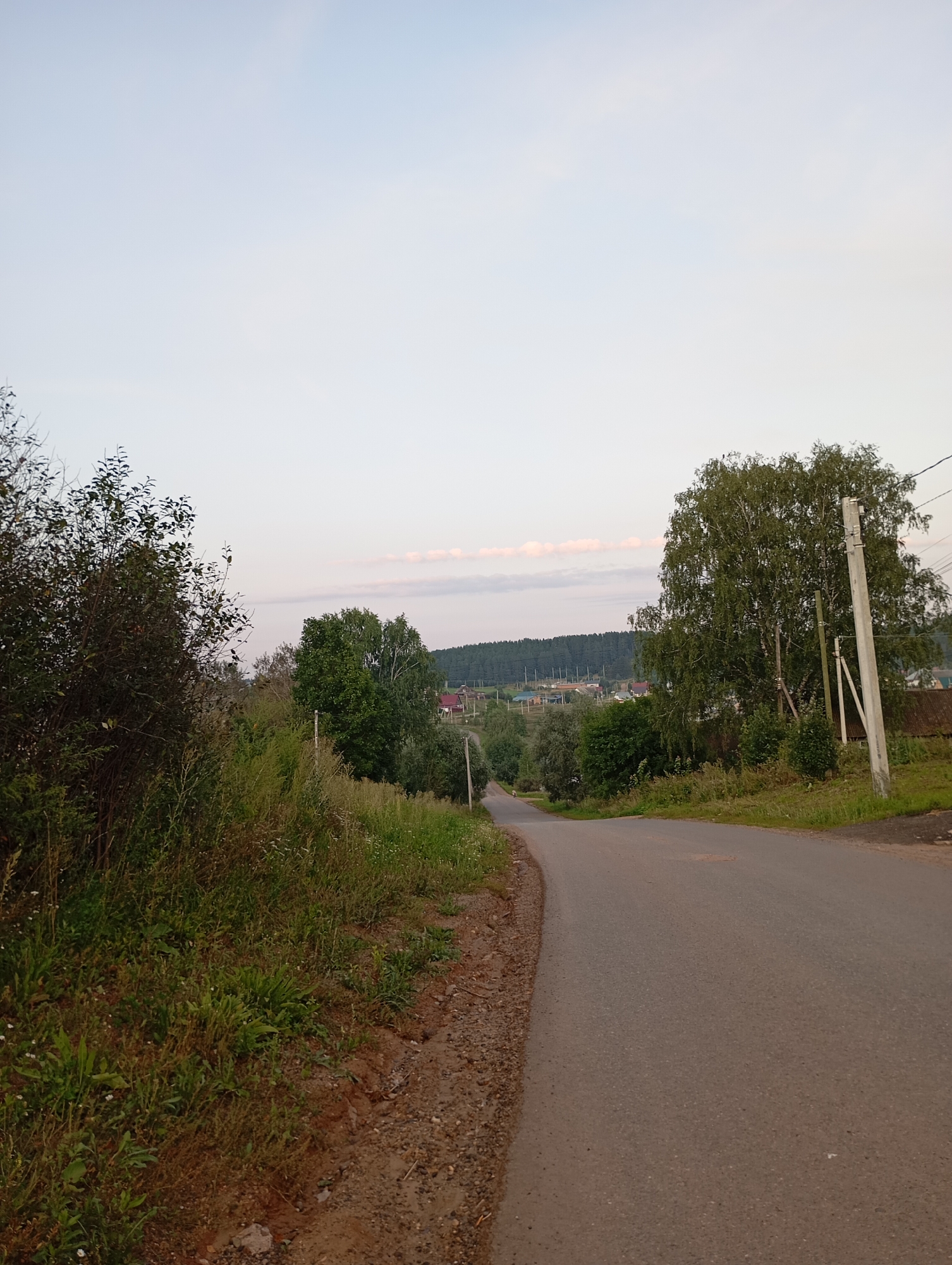 The image depicts an asphalt road winding through a rural landscape. On the left side of the road, there is dense vegetation with trees and tall grass. The right side of the road is bordered by a grassy embankment and a few trees, with a utility pole visible. In the distance, a village with houses and a forest can be seen under a pale sky with a few wispy clouds. The scene appears to be in the city of Фоки, Russia.