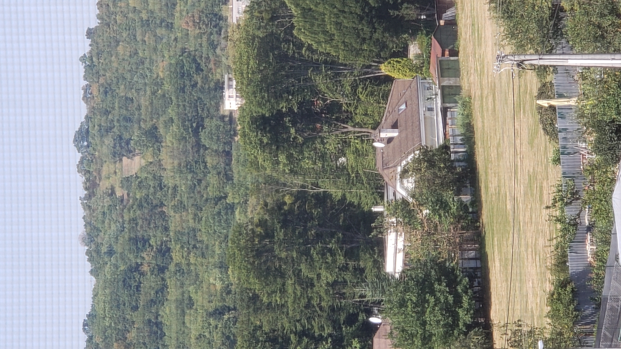 The image shows a view of a hilly, wooded landscape with houses in the foreground. The sky is visible at the top with a faint grid pattern, suggesting it might be a photograph taken through a window or screen. The middle ground features a densely wooded hillside with a lighter colored strip running diagonally up the slope, possibly a trail or a clearing. Several houses with brown roofs and white walls are nestled among trees. Some houses have satellite dishes on their roofs, and one has what appears to be a chimney. A large, open, mown field occupies the lower middle ground, with a row of trees and fences defining its edges. In the foreground, a corrugated metal fence separates a garden area with various plants and some stacked items. A utility pole with wires is also visible on the right side of the foreground. The overall scene suggests a residential area bordering a natural, forested environment. The location is identified as Prešov, Slovakia.