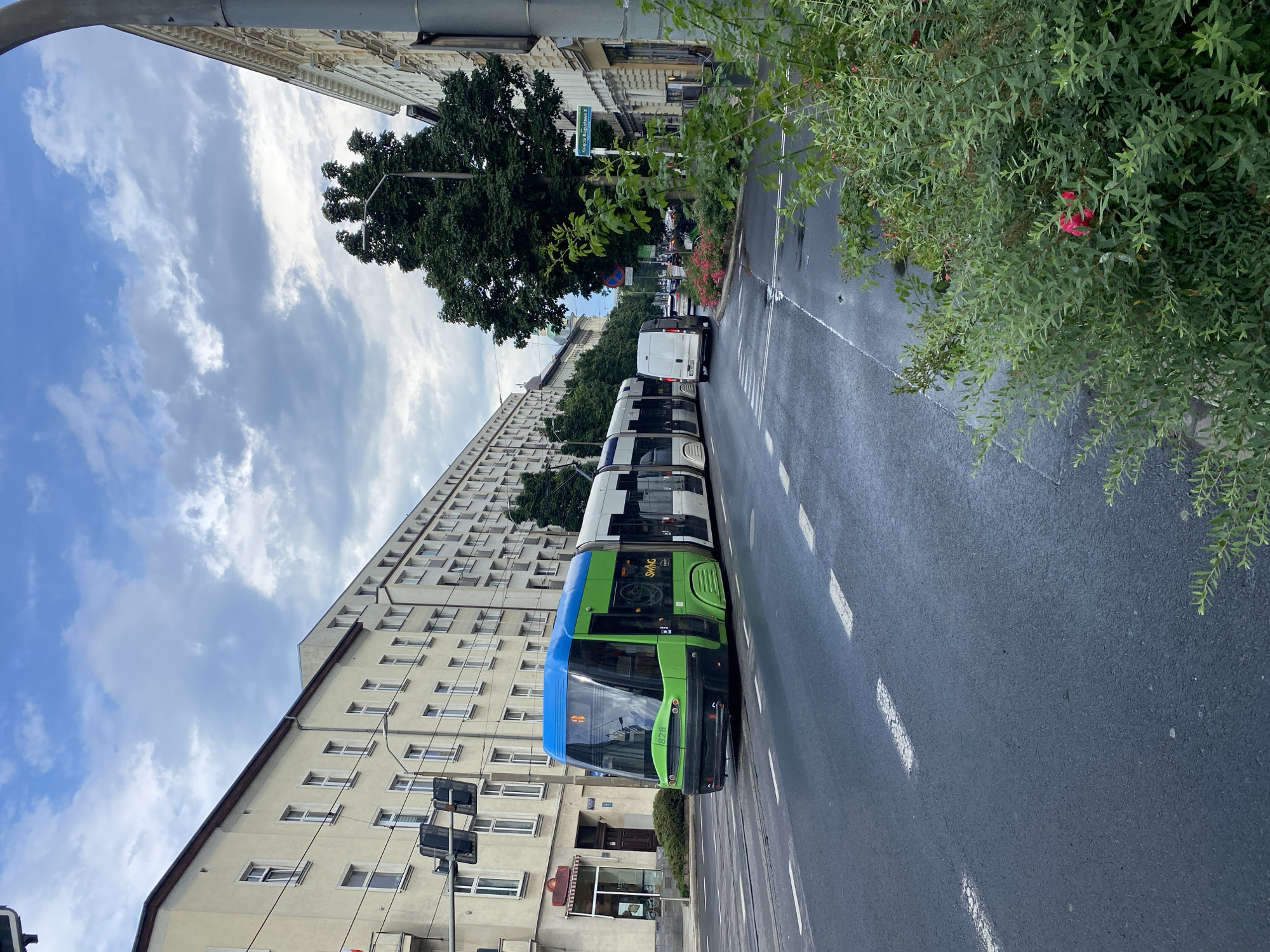 The image depicts a modern tram, predominantly green and white with a blue front, traveling on a wet asphalt street in Szczecin, Poland. The tram is positioned in the foreground, moving from left to right. Multiple cars are visible further down the street, indicating urban traffic.
The street is lined with multi-story apartment buildings constructed in a classic European style, with light-colored facades and numerous windows. Some of these buildings feature awnings over ground-floor shopfronts. A large, leafy green tree is prominent on the right side of the image, partially obscuring a street sign.
The sky above is filled with a mix of blue sky and white and gray clouds, suggesting an overcast or partly cloudy day. The wetness of the road indicates recent rain. Vegetation, including a dense bush with pink flowers, is visible along the right edge of the street, adding a touch of nature to the urban landscape. Traffic signals and streetlights are also present, typical of a city environment. The overall scene captures a streetscape in Szczecin, likely during daylight hours, with public transportation and residential/commercial buildings forming the backdrop.