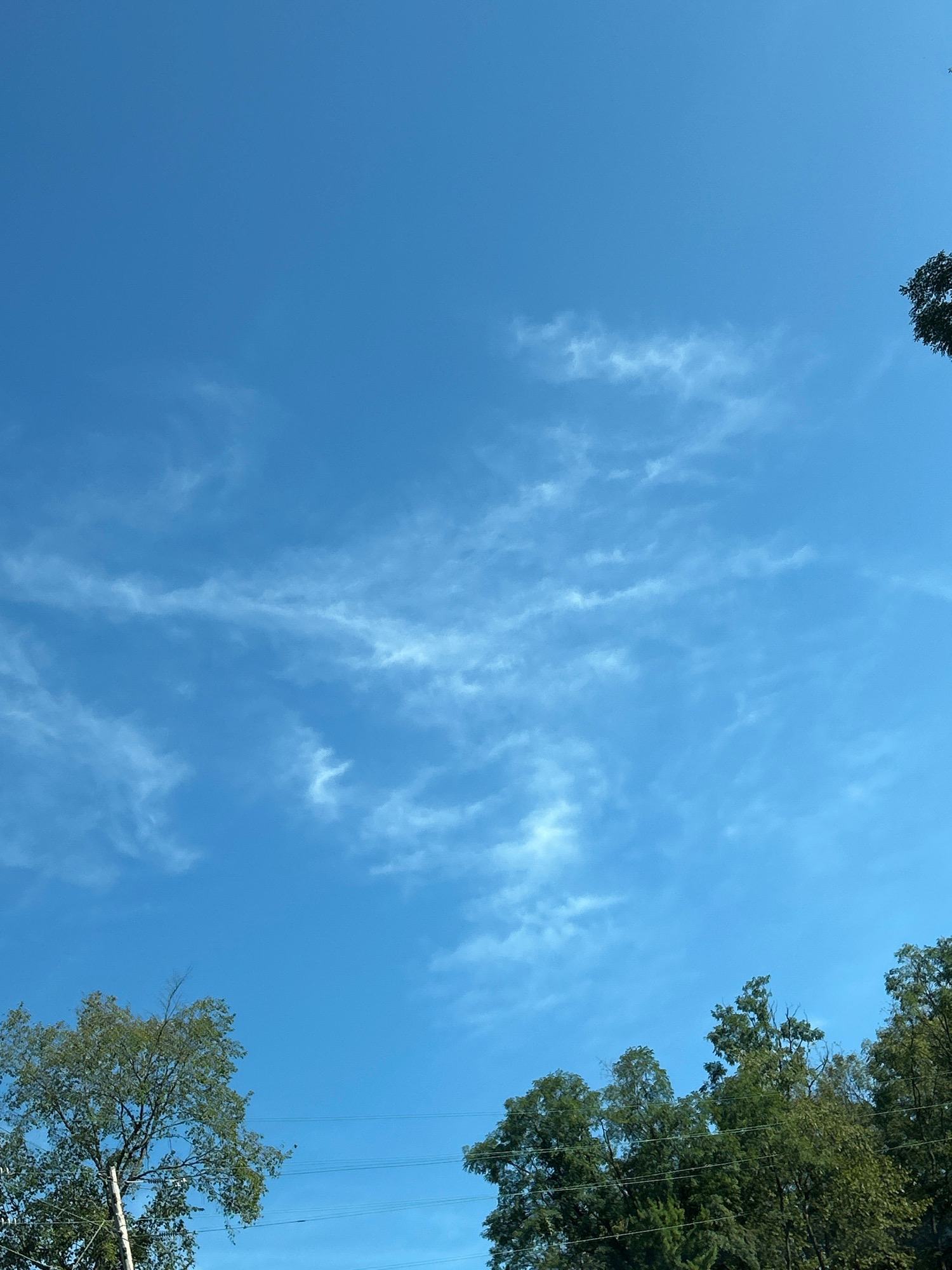 A clear, vibrant blue sky dominates the upper portion of the image, with wispy white cirrus clouds scattered across it. The lower portion of the image features the tops of several mature trees with dense green foliage. Power lines are visible strung between poles, intersecting the treeline. The overall scene suggests an outdoor environment, likely in a suburban or rural setting within Scott Township, United States of America, on a bright, fair-weather day. There are no people or animals visible in the image.