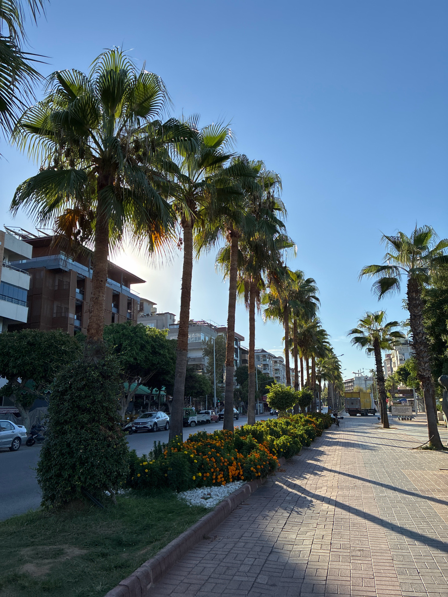 The image depicts a sun-drenched street in Alanya, Turkey, lined with tall palm trees casting long shadows on a brick-paved sidewalk. The road is bordered by a strip of manicured greenery with orange flowers and white stones. Buildings, including apartment complexes and shops, are visible on the left side of the street. Several cars are parked along the road and a yellow truck is visible in the distance. The sky is a clear, bright blue. The overall scene suggests a pleasant, warm day in a vibrant urban environment.