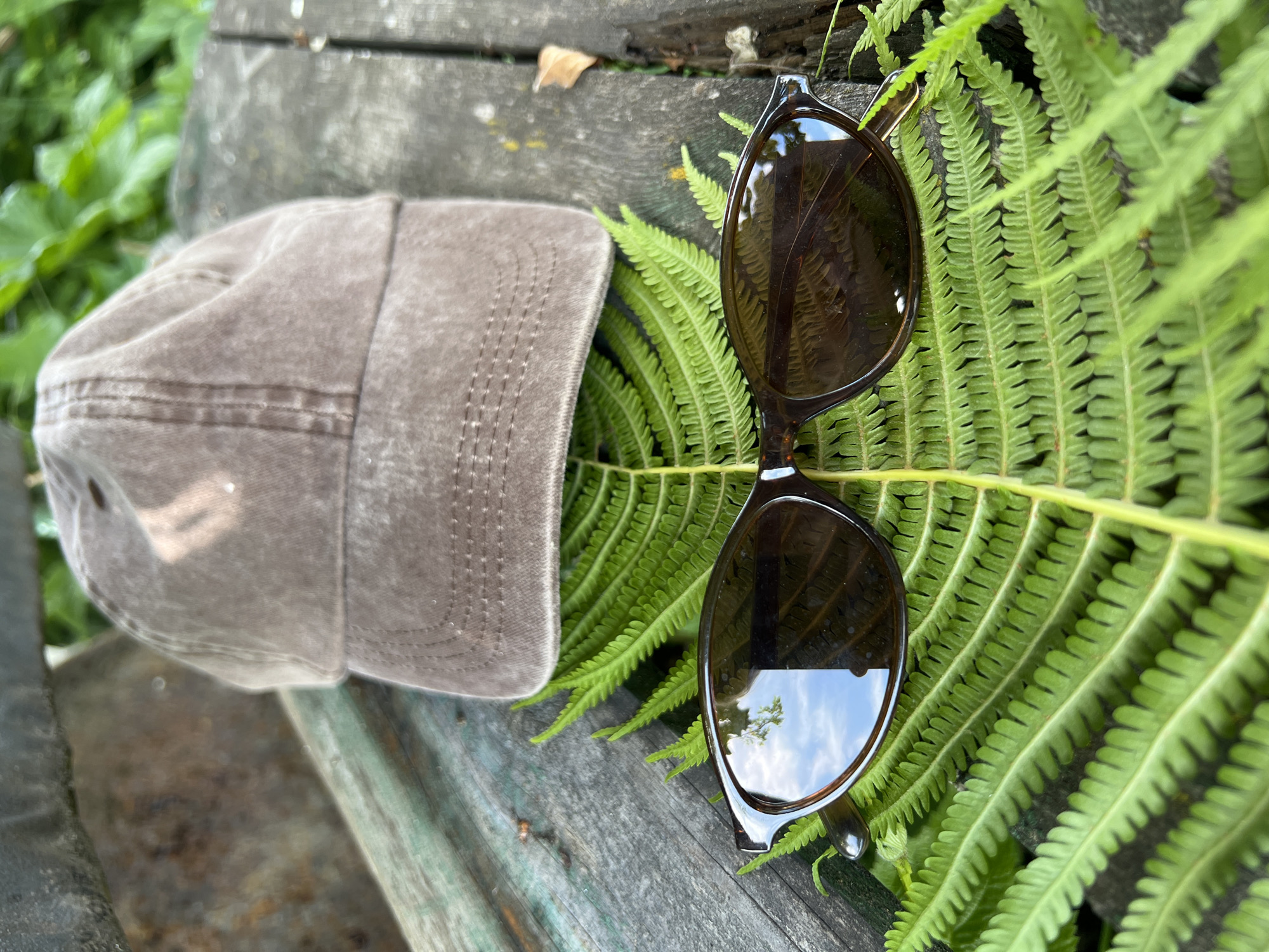 A brown baseball cap rests on weathered wooden planks next to a lush green fern. Dark brown sunglasses are positioned on top of the fern. The background shows blurred green foliage, suggesting an outdoor setting. There is no indication of the location being Chaikovsky, Russia, or any city.