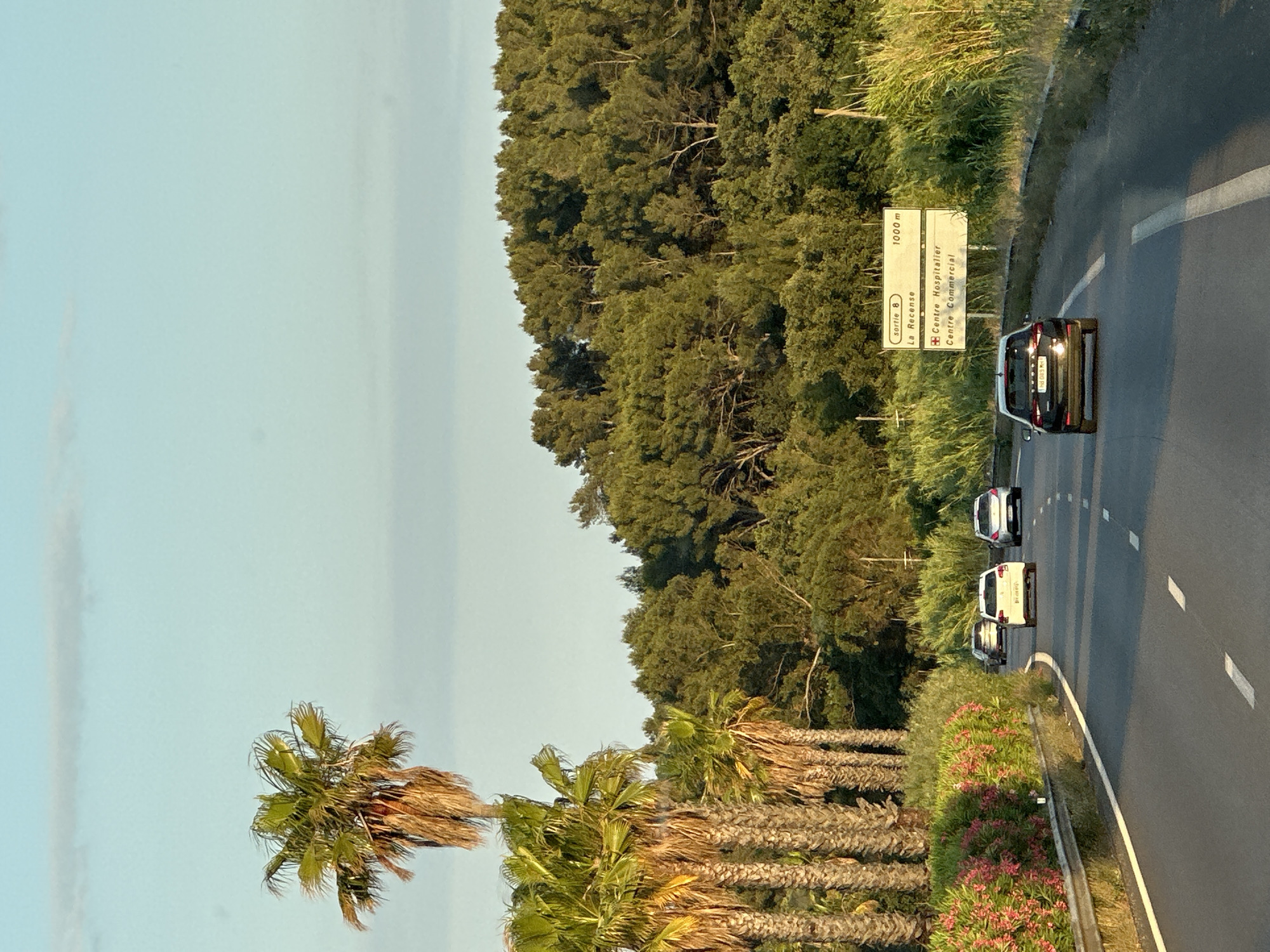 The image captures a view from a moving vehicle on a highway in Hyères, France. The highway curves to the right, bordered by a metal guardrail and a lush green embankment. On the left side of the road, several tall palm trees with weathered trunks stand prominently, their fronds catching the sunlight. In front of the palm trees, a dense bush with vibrant pink flowers forms a colorful barrier.
To the right of the road, tall grasses and reeds grow, leading up to a dense forest of green trees that covers a hillside. The sky above is a clear, pale blue with a few wispy clouds.
Several cars are visible on the highway, traveling in the same direction as the viewer. In the foreground, a dark-colored SUV is prominent. Further ahead, a white hatchback is followed by another white car. In the distance, a silver car is also visible.
A road sign is mounted on a pole to the right of the road. The sign has two panels. The top panel reads "sortie 8" (exit 8) and "1000 m". The bottom panel displays "Centre Hospitalier" with a red cross symbol and "Centre Commercial".
The overall impression is a scenic drive through the outskirts of Hyères, France, likely during the late afternoon or early evening, given the warm lighting and long shadows.