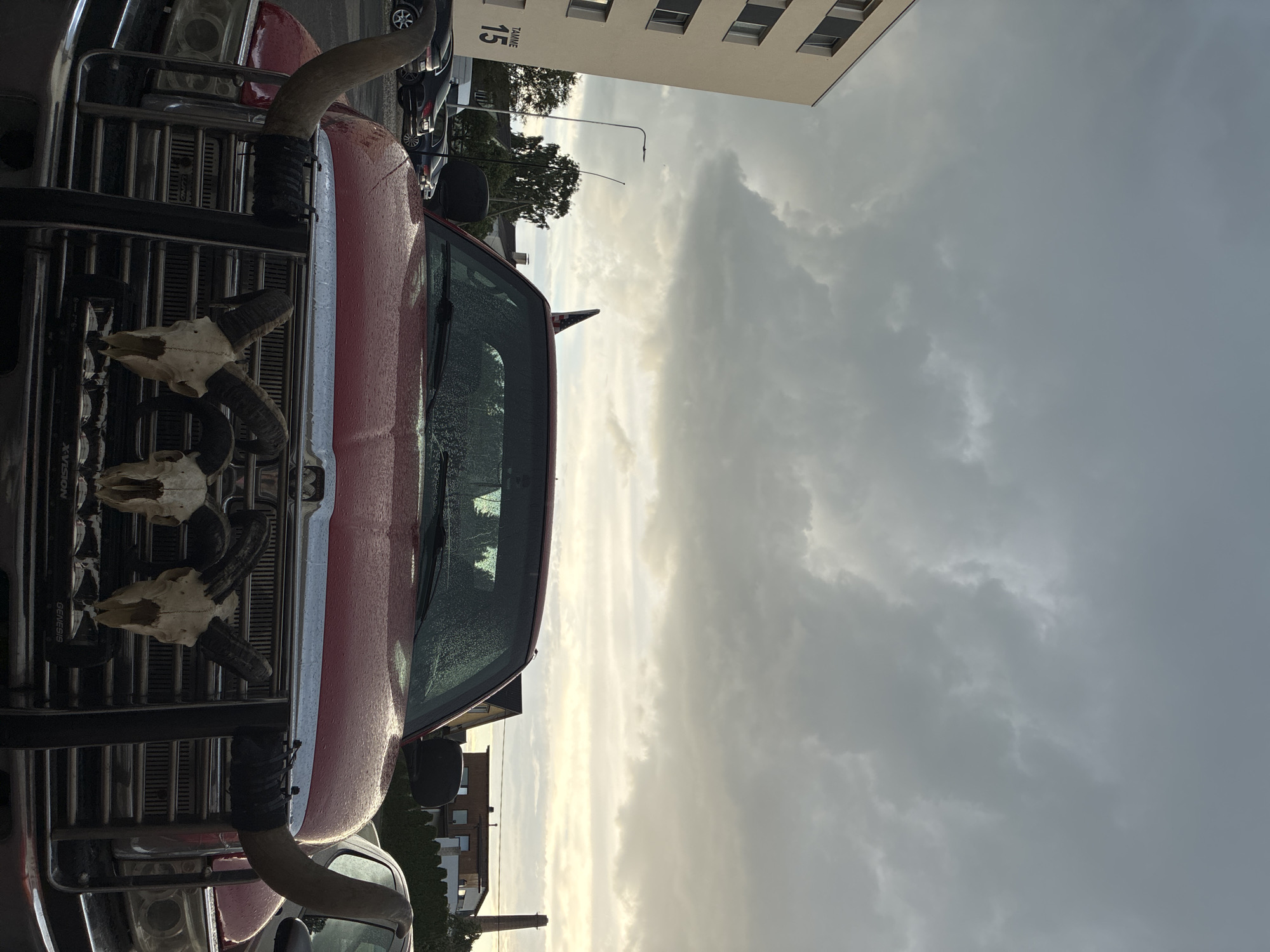 In the city of Haapsalu, Estonia, on a cloudy day, a red truck is parked in a lot. The truck's grille is adorned with large bull horns and three animal skulls. To the left of the truck, a multi-story building with multiple windows is visible, with a sign on its side reading "TAMME 15." Several cars are parked in the lot. In the background, trees and buildings, including a brick smokestack, can be seen under the overcast sky. The truck's windshield is wet, suggesting recent rain.