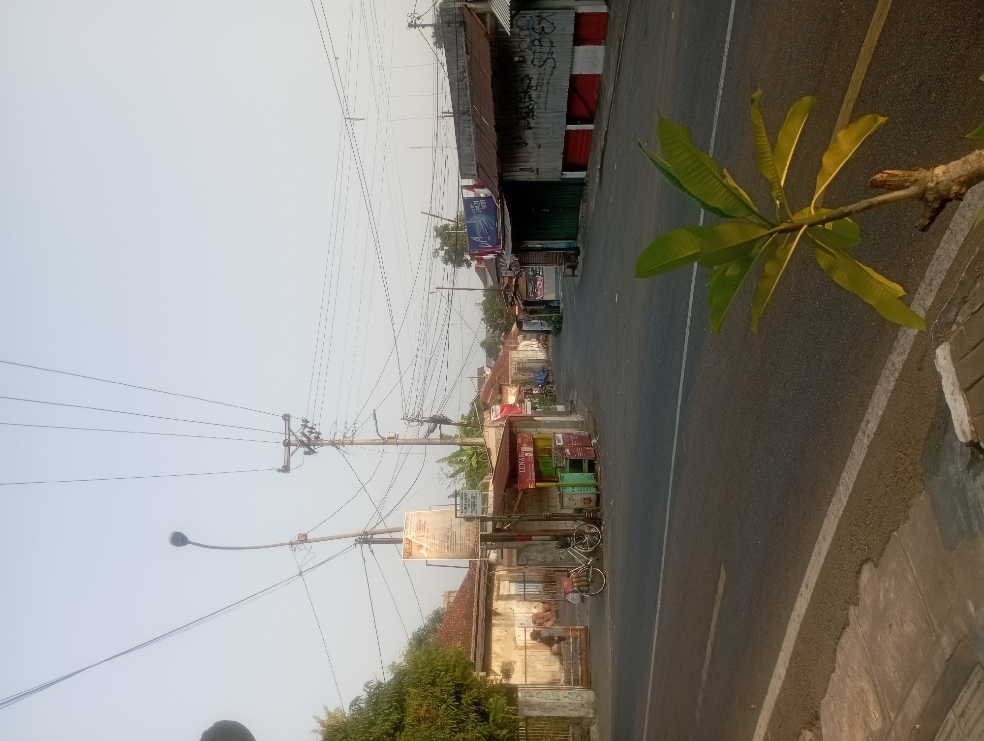 The image depicts a street scene in Yogyakarta, Indonesia, characterized by a mix of residential buildings, small businesses, and overhead utility lines. The perspective is from the side of the road, looking down the street.
In the foreground, a portion of a sidewalk and the asphalt road are visible. A young plant with broad green leaves is positioned to the right, partially obscuring the road. The road itself has white lane markings and a distinct white line along the curb.
Further down the street, a row of small shops lines the right side. These structures appear to be modest, with corrugated metal roofs and weathered walls. One shop displays a blue sign with the text "ICE" and "COOLEST FLAVORS" in English, and the Indonesian flag is prominently displayed on its facade. Graffiti is visible on some of the walls.
On the left side of the street, there are more buildings, some with traditional tiled roofs. A gate leads into a property where stacks of what appear to be clay bricks or tiles are stored. A bicycle with panniers is parked in front of one of the buildings. A person is partially visible entering the gate on the left. A tall lamppost stands near the center of the image, surrounded by a complex network of electrical wires.
The sky is overcast and pale, suggesting it is either early morning or late afternoon. The overall atmosphere is one of a quiet, working-class neighborhood.