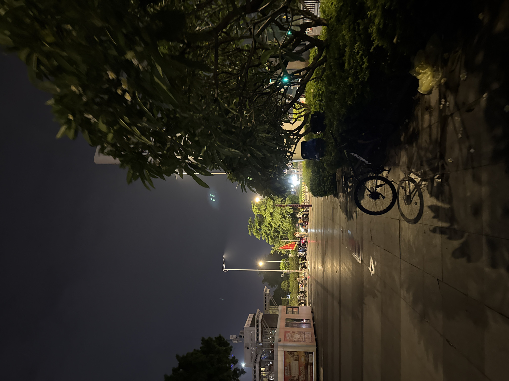 A nighttime street scene in Haizhu District, China, shows a wet pavement reflecting streetlights. A black bicycle with a "PHOIMOT" logo is parked near a lush green bush. Further down the street, a group of people are gathered around several parked motorcycles, with a red flag visible among them. To the left, a modular structure with signage and lights is situated, with more motorcycles parked in front of it. The sky above is dark, with faint light trails possibly from vehicles. A large tree with dense foliage dominates the right side of the frame. Yellow plastic bags are visible on the ground near the bush.