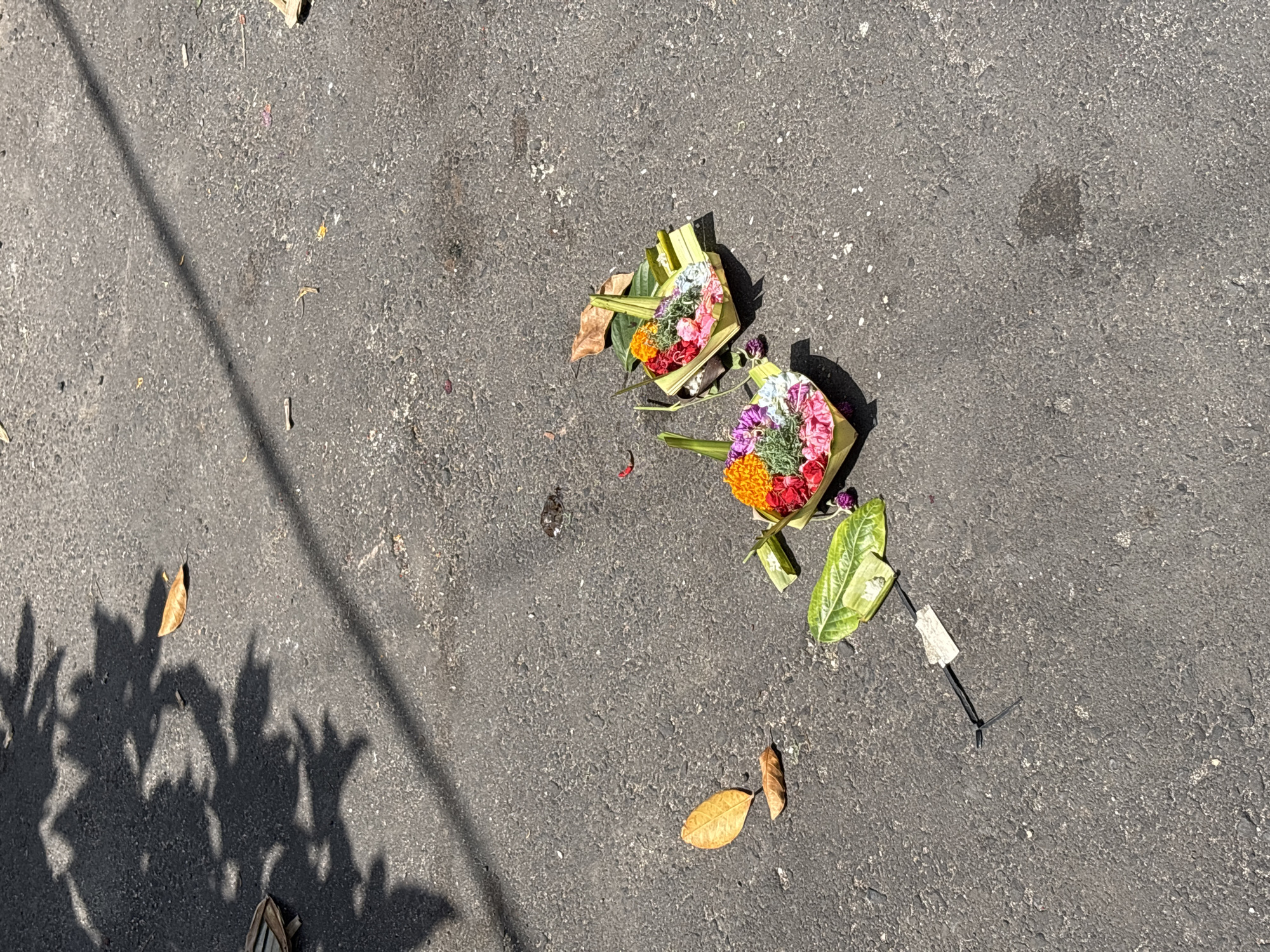 The image, taken from an overhead perspective, depicts two colorful Balinese Hindu offerings, known as Canang Sari, resting on a textured gray asphalt or concrete surface. Each offering consists of a small, square-shaped basket meticulously woven from fresh green palm or banana leaves, filled with an assortment of vibrant, freshly cut flowers in shades of red, orange, pink, white, and purple, interspersed with green leaves.
The offerings are positioned in the center-right of the frame, casting distinct shadows to their left, indicating bright daylight. The ground itself is a coarse, dark gray pavement, showing some minor wear and scattered small debris, including a few dry brown leaves.
In the lower-left corner, the sharp, intricate shadows of dense foliage are cast onto the pavement, alongside a long, straight shadow that cuts diagonally across the upper-left quadrant, possibly from a pole or overhead wire. Near the bottom right offering, a small, dark cable-like object with a white tag is visible.
The scene conveys a sense of everyday cultural practice, common in Bali (Kuta Selatan, Indonesia), where these daily offerings are placed as a gesture of gratitude and prayer. The strong sunlight suggests a clear, warm day. No people are visible, and there is no discernible text in the image.
