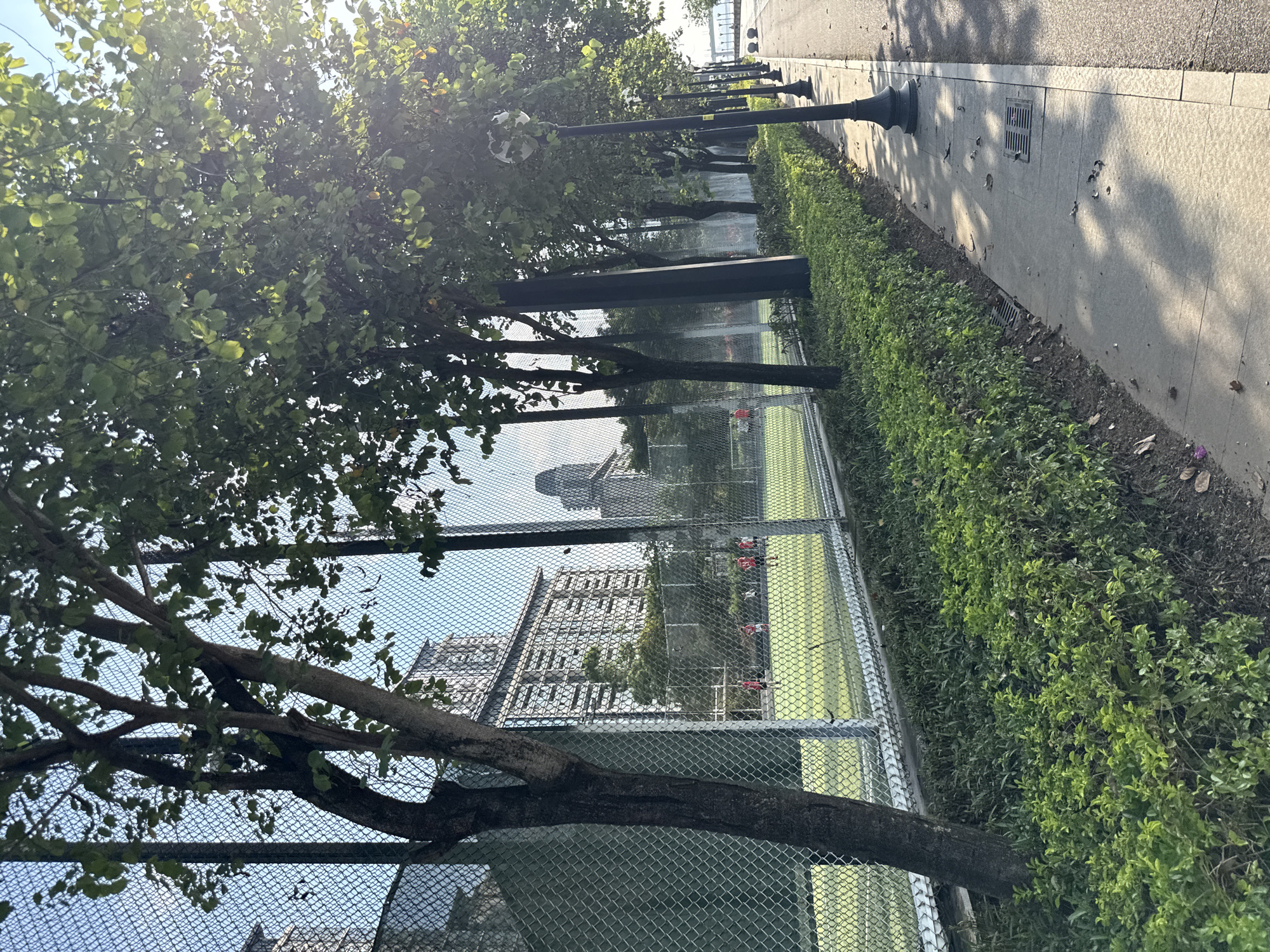 In Haizhu District, China, a sun-dappled scene unfolds along a paved walkway bordered by lush green hedges and a chain-link fence. Beyond the fence lies a vibrant green sports field, possibly a soccer pitch, where several individuals, clad in red attire, are engaged in what appears to be a game or practice. In the background, modern multi-story buildings rise against a clear blue sky, suggesting an urban setting. Several trees with full green canopies line the walkway, casting intricate shadows on the pavement. A row of black lampposts with ornate tops are evenly spaced along the pathway. The image captures a moment of recreational activity and urban landscaping bathed in the warm glow of natural light.