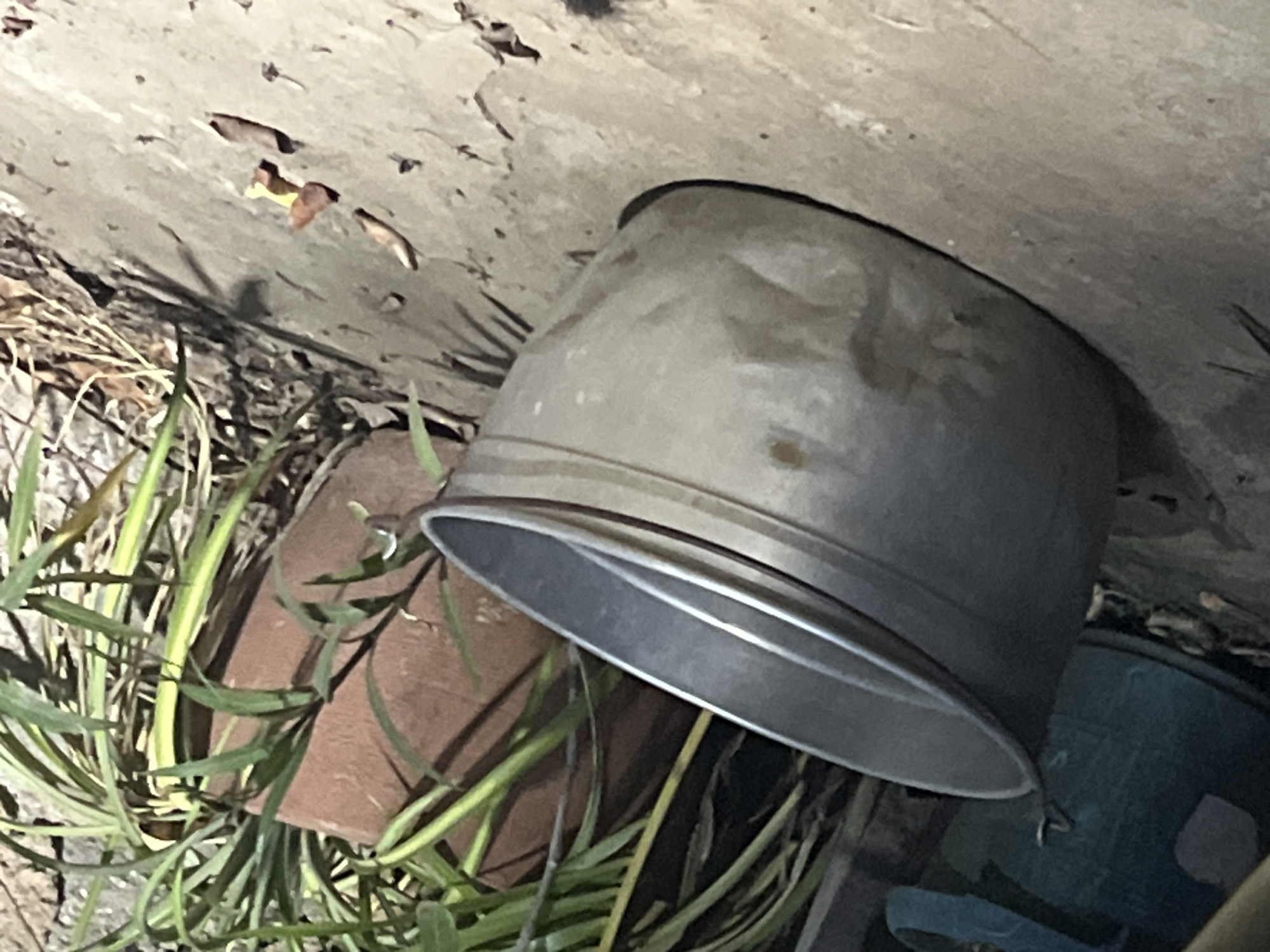 The image depicts a gray metal bucket with a dented side, resting on a concrete surface. Behind the bucket, a terra cotta planter holds green plants. To the left, a portion of a teal-colored plastic container is visible. The scene appears to be outdoors, with scattered dry leaves on the ground. The lighting suggests it is either dusk or a shaded area. There are no people present in the image. The location is identified as Santa Ana, Venezuela.