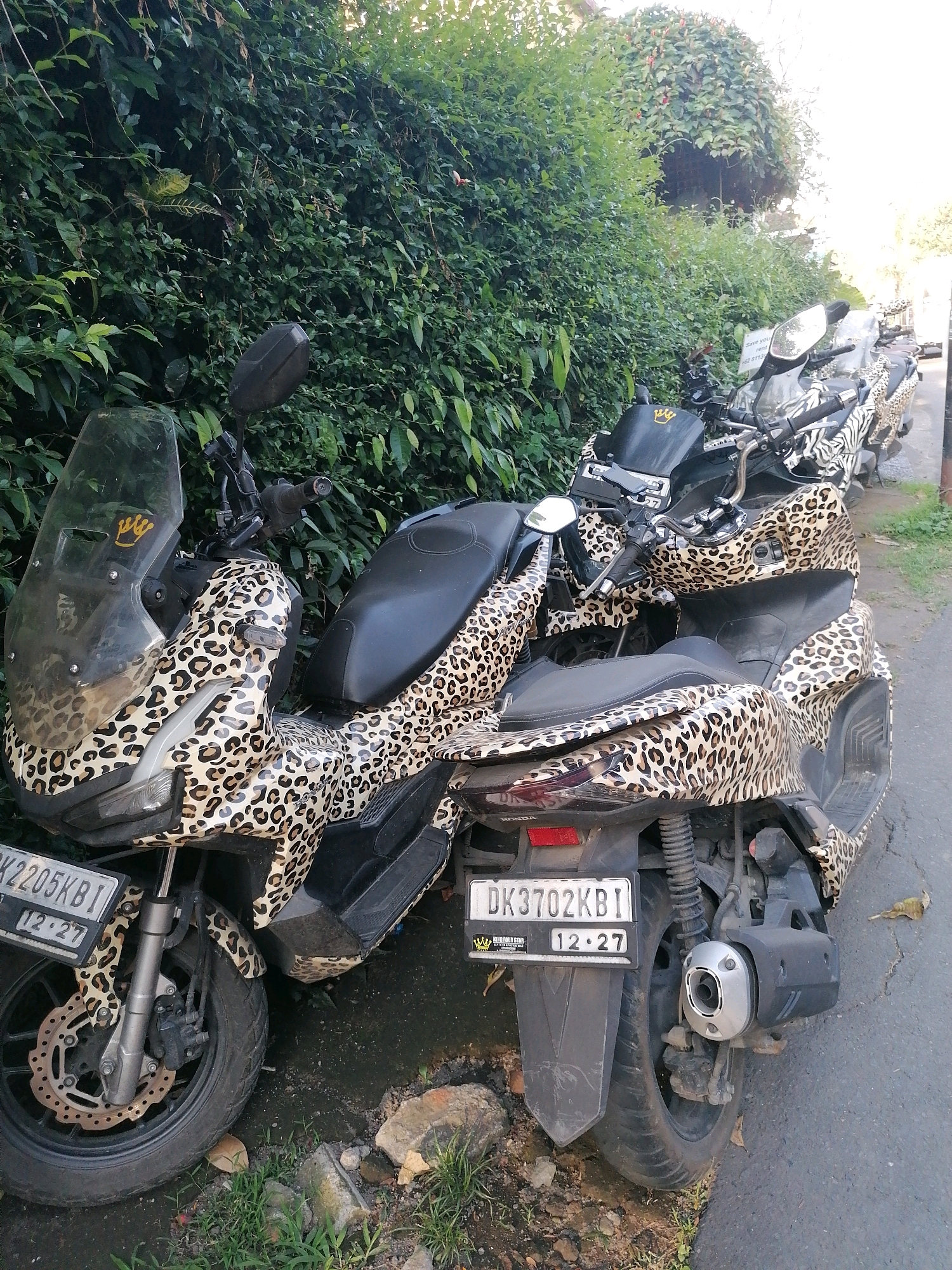 Two scooters with leopard print vinyl wraps are parked side-by-side on the side of a street in Ubud District, Indonesia. The scooter in the foreground is a dark gray Honda PCX with a clear windshield and a gold crown emblem. Its license plate reads "DK 2205 KBI" and "12-27". The scooter behind it is also a dark gray Honda PCX, partially obscured by the front scooter, with a similar leopard print wrap and a zebra print wrap on its rear section. The rear license plate of the second scooter reads "DK 3702 KBI" and "12-27". Both scooters are parked near a dense green hedge and a paved road. The lighting suggests it is daytime.