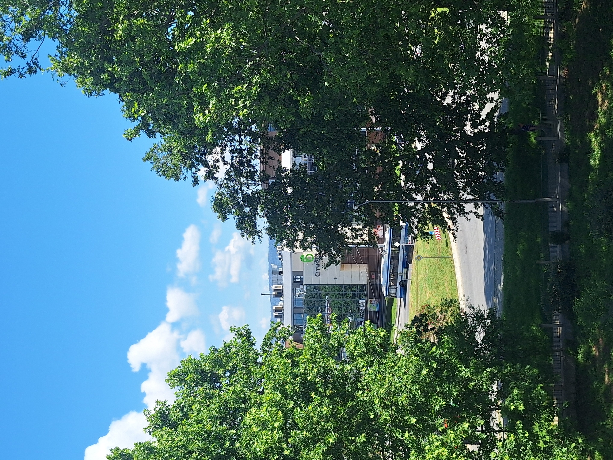 The image shows a view of a street in the city of Varna, Bulgaria, on a sunny day with a blue sky and scattered white clouds. In the foreground, two large green trees frame the scene, with their branches and leaves obscuring parts of the background.
In the middle ground, a modern, multi-story building with a glass facade is visible, reflecting the sky and surrounding trees. The building has "CITY POINT" signage on its upper section. In front of the building, a white and blue trolleybus is driving on the street, with its poles extended to connect to overhead wires. A black car is also visible on the street, behind the trolleybus.
The street is paved, with green grass areas on either side. There is a traffic light visible on the side of the road. In the background, more buildings and distant hills can be seen. In the lower right portion of the image, a person wearing a striped shirt and shorts is walking on a sidewalk next to a black fence. The overall impression is of an urban environment bathed in sunlight, with elements of transportation and daily life.