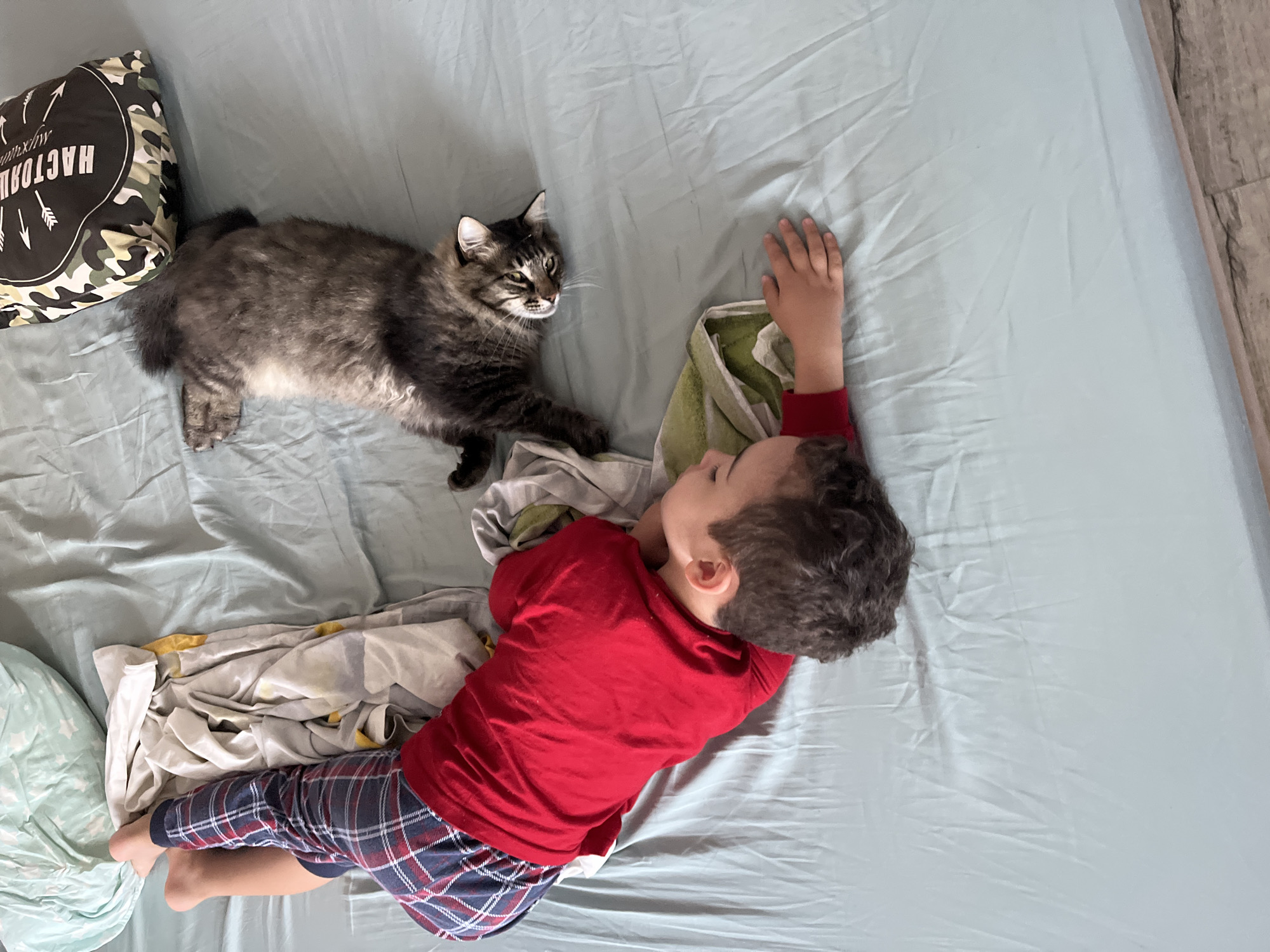 A young boy and a cat are lying on a light blue bed. The boy, wearing a red shirt and plaid pants, is on his side, facing away from the viewer. His eyes are closed, and his right arm is extended forward. A green and white towel is beneath his arm. The cat, a tabby with black and gray fur, is lying on its back to the right of the boy, its head turned towards the boy. A camouflage patterned pillow with white text and arrows is to the right of the cat. The bed is in a room, the floor of which is visible as wooden planks. The location is the city of Krasnyye Barrikady, Russia.