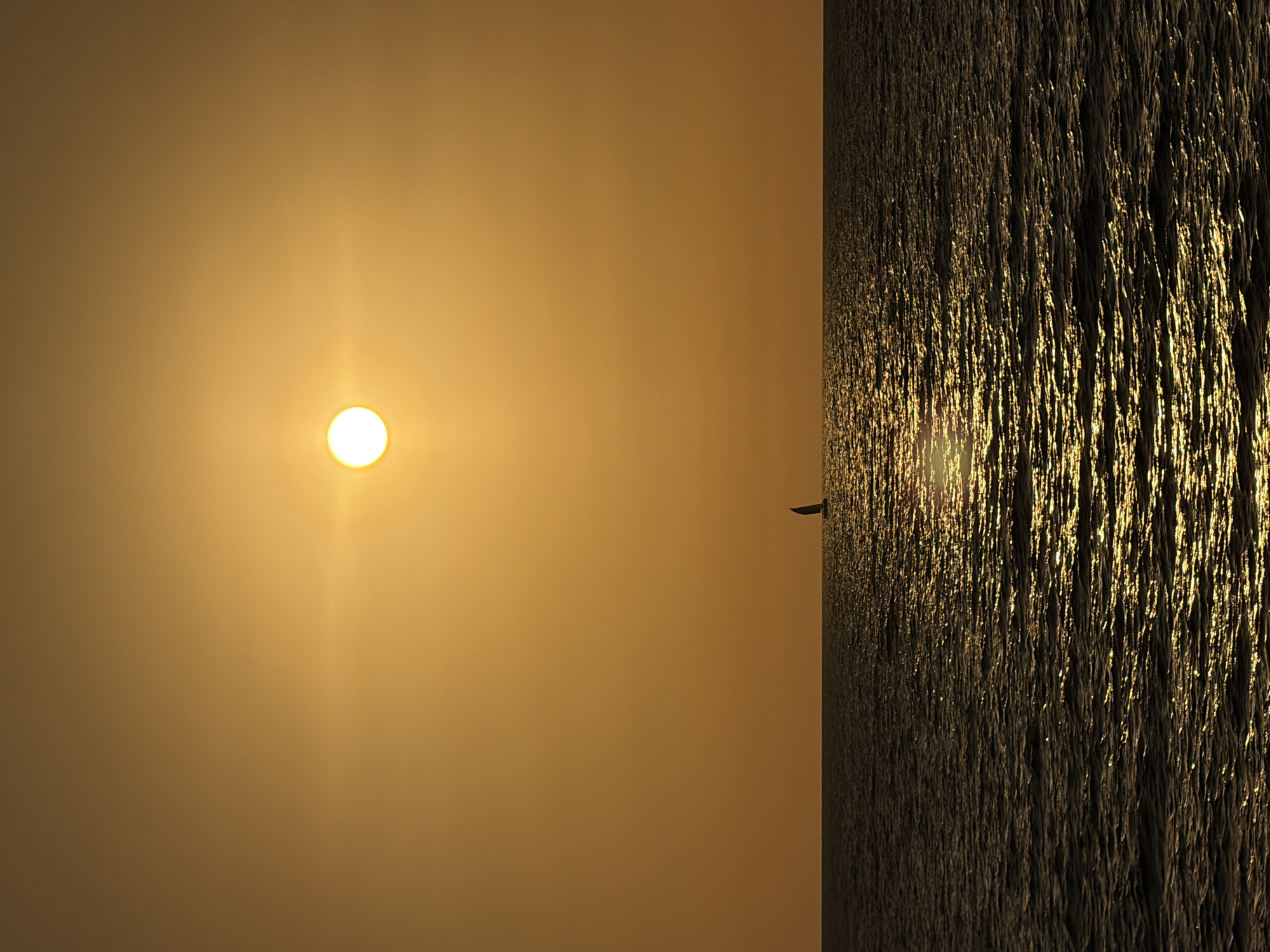 The image displays a panoramic view of a sunset over the Mediterranean Sea, observed from the coastline of Tel-Aviv, Israel. The upper two-thirds of the frame consist of a clear, cloudless sky, uniformly saturated in a golden-orange hue. A distinct, circular, white-yellow sun is prominently positioned in the upper-middle left quadrant of the sky, emitting a subtle lens flare.
The lower third of the image depicts the sea, separated from the sky by a sharp, straight horizon line. The water surface is dark, almost black, but is extensively illuminated by fragmented, shimmering golden-yellow reflections from the sun. These reflections form a broad, glittering path extending from the horizon towards the viewer, indicating the sun's position relative to the water. Small ripples and waves are visible across the water's surface.
A solitary sailboat, rendered in dark silhouette, is positioned on the horizon line, slightly to the right of the vertical center axis. Its triangular sail is clearly discernible against the brighter sky. No other subjects or objects are present in the immediate foreground or midground. The overall scene conveys a vast, open seascape under a setting or rising sun.