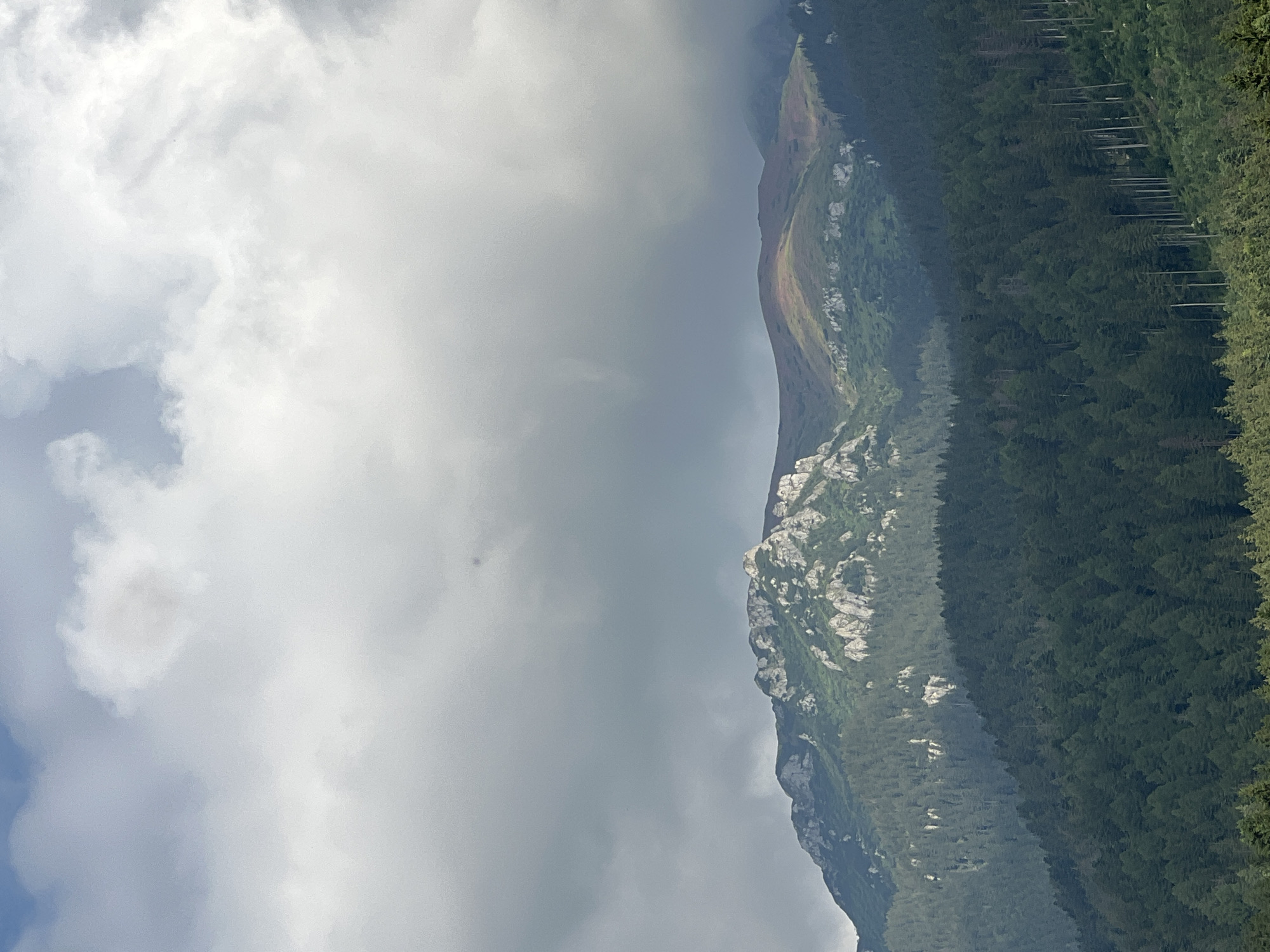 This is a vertical, low-angle, eye-level shot of a mountain landscape under a cloudy sky. The scene is divided diagonally, with the left side dominated by a vast expanse of white and gray clouds, suggesting a dynamic or overcast weather system. The clouds are textured and appear to be moving, creating a sense of depth and atmosphere.
The right side of the image showcases a steep mountain slope. The lower part of the slope is densely covered with dark green evergreen trees, forming a thick forest. Higher up, the trees thin out, revealing rocky outcrops and patches of green vegetation, possibly alpine meadows or scrub. The transition from forest to rock is gradual, with lighter colored streaks and patches on the rocky areas.
Further up the mountain, the slope appears smoother and more barren, with areas of lighter brown and green, suggesting a change in terrain and possibly seasonal vegetation. The peak of the mountain is not clearly visible, as it is obscured by the clouds.
The overall impression is one of a grand, natural landscape. The weather appears to be overcast or partly cloudy, with the clouds casting shadows and creating diffused lighting. The scene evokes a sense of wildness and untouched nature. No people, objects, or text are visible in the image. The time of day is difficult to determine precisely due to the cloudy conditions, but it appears to be daytime.