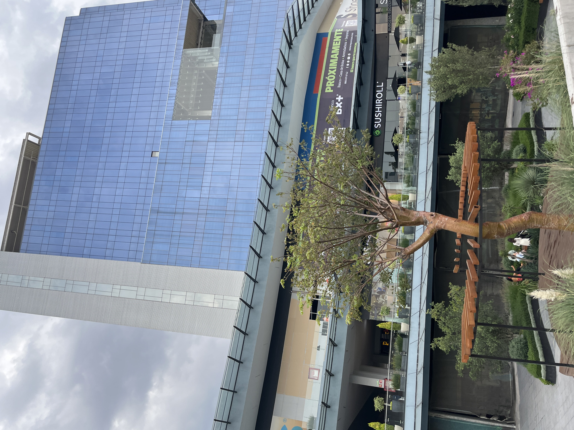 The image shows a modern urban scene in San Bernardino Tlaxcalancingo, Mexico. A tall, blue glass office building dominates the left side of the frame. Adjacent to the building is a multi-level commercial structure with shops and restaurants, including "SUSHIROLL." Banners advertise "PRÓXIMAMENTE" ("coming soon") for "Banco bX+." In the foreground is a landscaped area with trees, plants, and a distinctive wooden pergola. People are visible walking in the background. The sky is overcast.