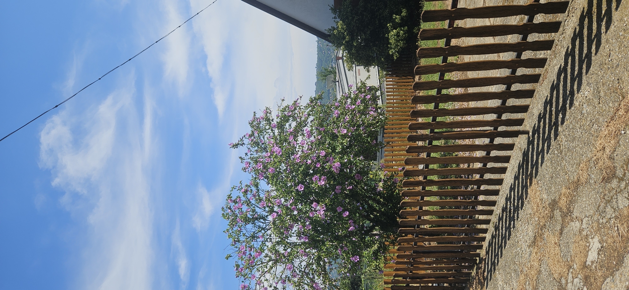 The image depicts a sunny day in Hévíz, Hungary, with a clear blue sky dotted with scattered white clouds. In the foreground, a rustic wooden fence runs horizontally across the frame, casting a patterned shadow on the gravelly ground. Behind the fence, a lush green tree is adorned with numerous vibrant pink flowers, creating a striking visual contrast. To the right of the tree, a white building with a dark roof is partially visible, suggesting a residential or commercial property. The background reveals a gentle slope covered with more greenery, and hints of other buildings and possibly the town of Hévíz in the distance. A thin black wire stretches diagonally across the upper portion of the sky, possibly a utility line. No people are visible in the scene.