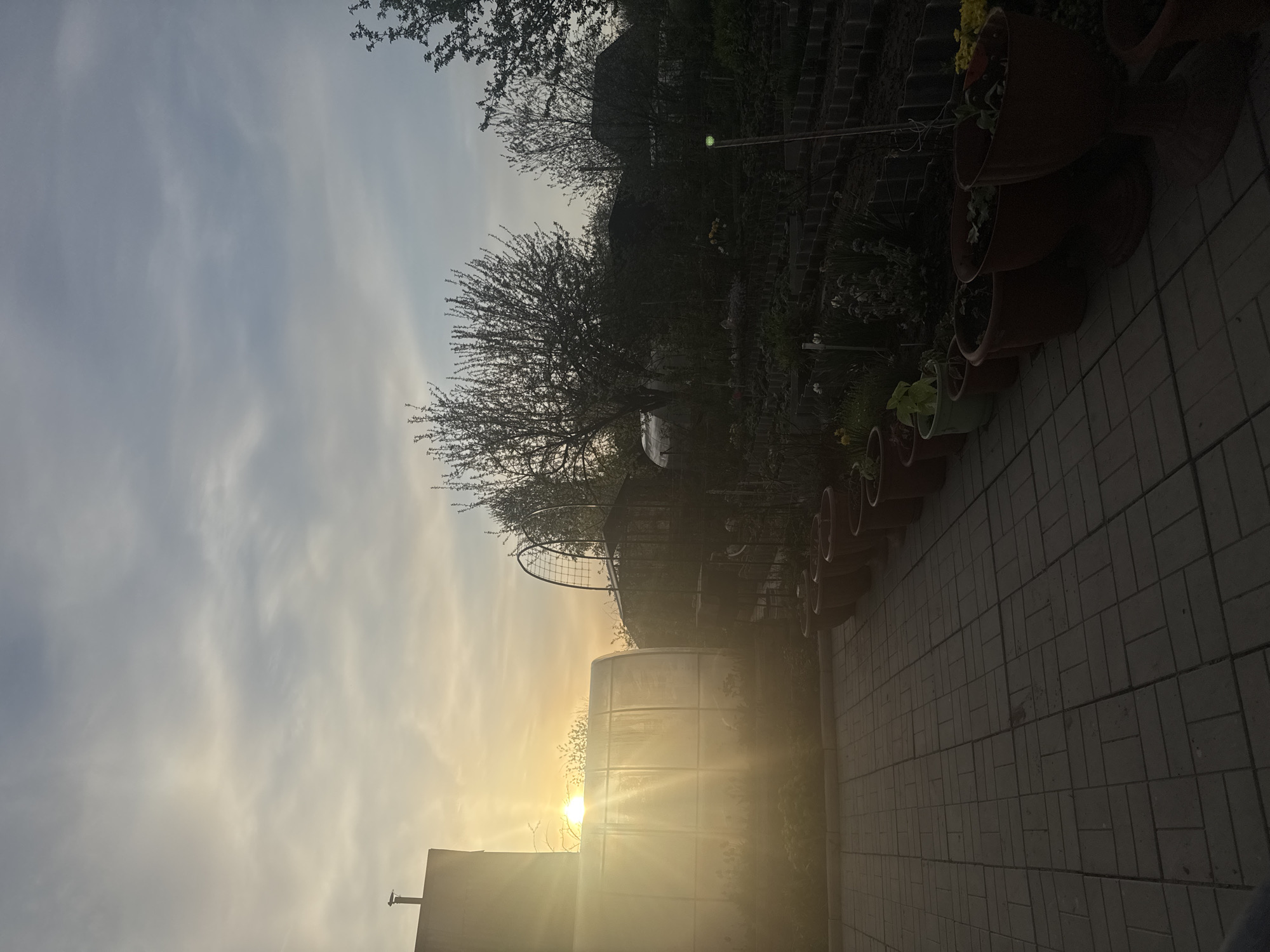 The image shows a view in Mayak, Russia, featuring a brick-paved ground leading to a garden area. The sun is setting, partially obscured by a building on the left, and shining brightly through what appears to be a greenhouse-like structure. Above and behind the greenhouse, an archway and bare tree branches are visible, adding depth to the scene. To the right of the archway, there are several potted plants arranged vertically. The sky above is cloudy with a bright, golden hue from the setting sun.