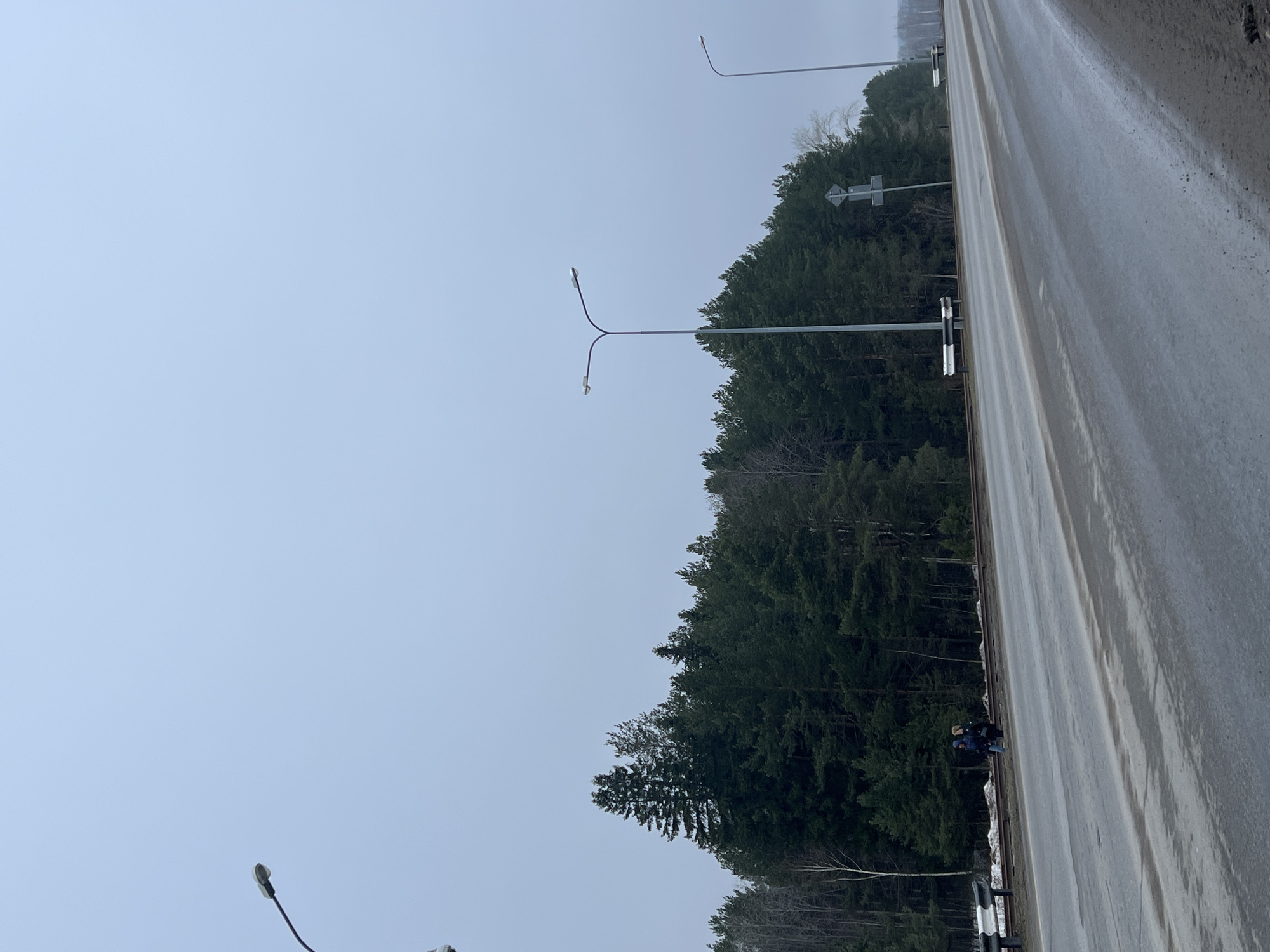 The image depicts a roadside scene near the city of Chaikovsky, Russia. A wet, gray asphalt road occupies the right side of the frame, with a line of tall evergreen trees lining its edge. Streetlights are visible along the roadside. On the road's shoulder, near the trees, two people are visible. The sky is overcast and gray.