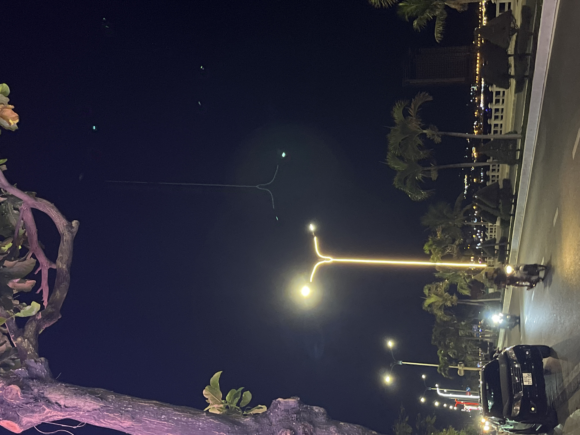 Captured in Bac Nha Trang Ward, Vietnam, the image presents a night scene. A dark, clear sky forms the backdrop, punctuated by occasional streetlights. A large tree branch extends from the left side of the frame. Palm trees line the edge of a road on the right. Cars and motorcycles are visible on the road, illuminated by their headlights and streetlights. A lit-up building is visible in the distance.