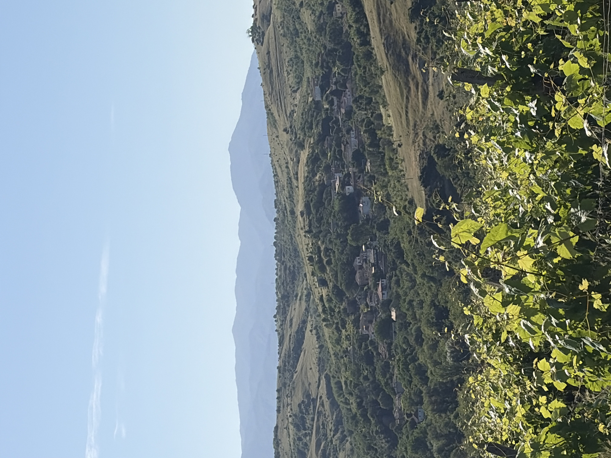 The image presents a mountainous landscape with a small settlement nestled on the slope. The scene is bathed in daylight under a clear, blue sky. In the foreground, there is dense green vegetation with visible leaves and branches. The middle ground reveals a hillside dotted with houses, suggesting a small village or town. The mountains rise in the background, creating a sense of depth and scale. There are no people visible in the scene. The location is Unknown, Unknown.
