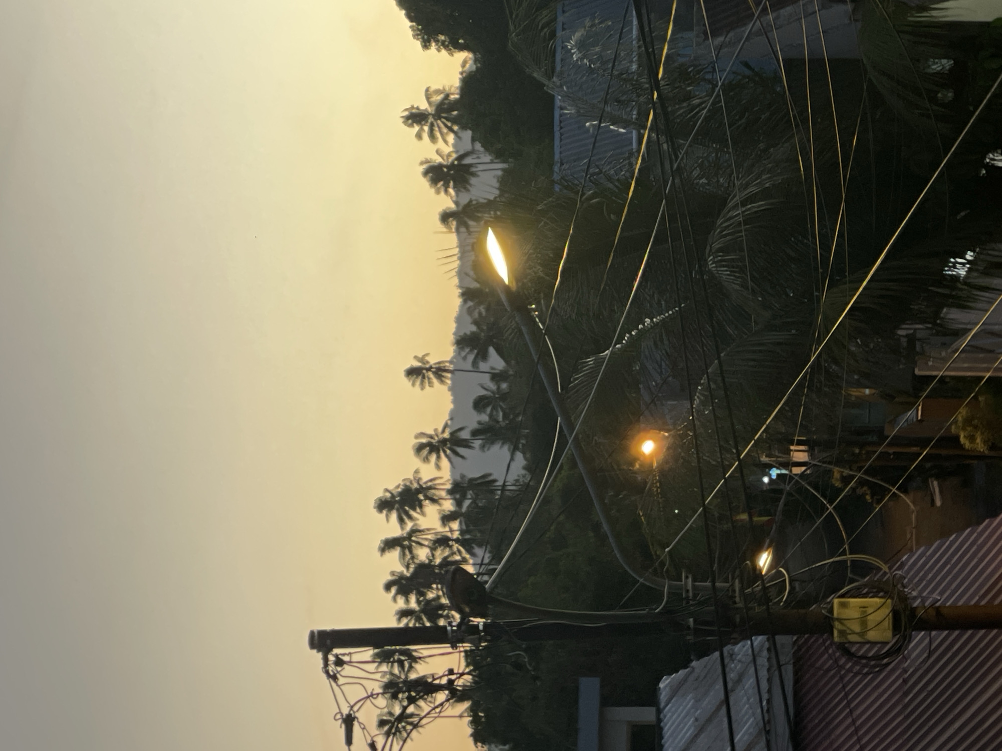 The image depicts a street scene at dusk in Manado, Indonesia. A utility pole is prominently featured on the left side of the frame, laden with a complex network of tangled electrical wires. Two streetlights are visible: one on the pole itself, emitting a warm glow, and another further down the street, also illuminated. In the background, a dense cluster of palm trees lines a gently sloping hill, silhouetted against a soft, golden-yellow sky, indicative of sunset or twilight. The roofs of several buildings, some with corrugated metal and others with tiles, are visible in the foreground and middle ground, suggesting a residential or mixed-use area. The overall impression is of a tropical urban environment as day transitions into night, with the infrastructure of electricity distribution a significant element of the scene. There are no people or animals visible in the image.