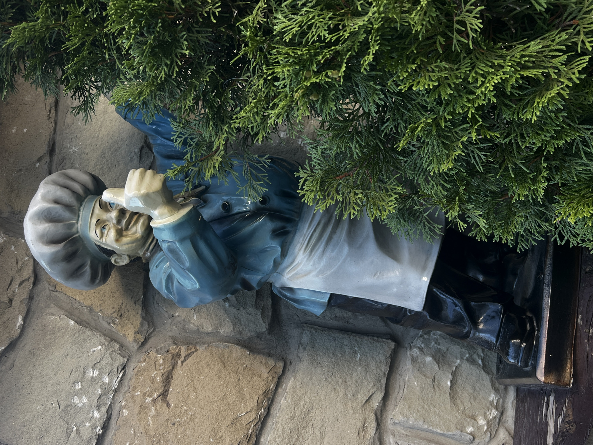 A statue of a chef stands outdoors, leaning against a stone wall. The chef is depicted wearing a tall white hat, a blue jacket, and a white apron. The chef's right arm is extended, with the thumb raised in a "thumbs up" gesture. A dense green conifer tree is positioned to the right of the chef, partially obscuring its form. The statue is placed on a dark, weathered wooden base. The background consists of a rough, textured stone wall made of irregular, large stones. The lighting suggests it is daytime, with natural light illuminating the scene. This statue is located in Yaremche, Ukraine, likely as a decorative element for a restaurant or establishment.