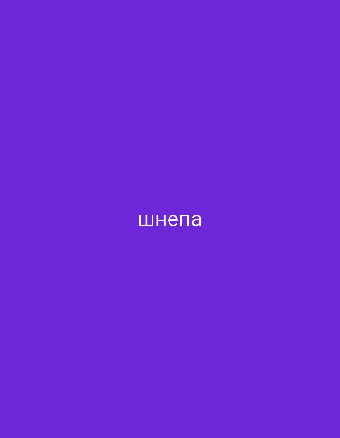 The image displays a solid purple background. Centered horizontally and vertically on this background is the word "шнепа" written in white, sans-serif font using Cyrillic script. There are no other visible subjects, objects, or discernible activity. The scene is devoid of any environmental cues such as time of day, weather, or specific location features, though the provided context indicates Yerevan, Armenia. No emotions are explicitly conveyed by the image content.