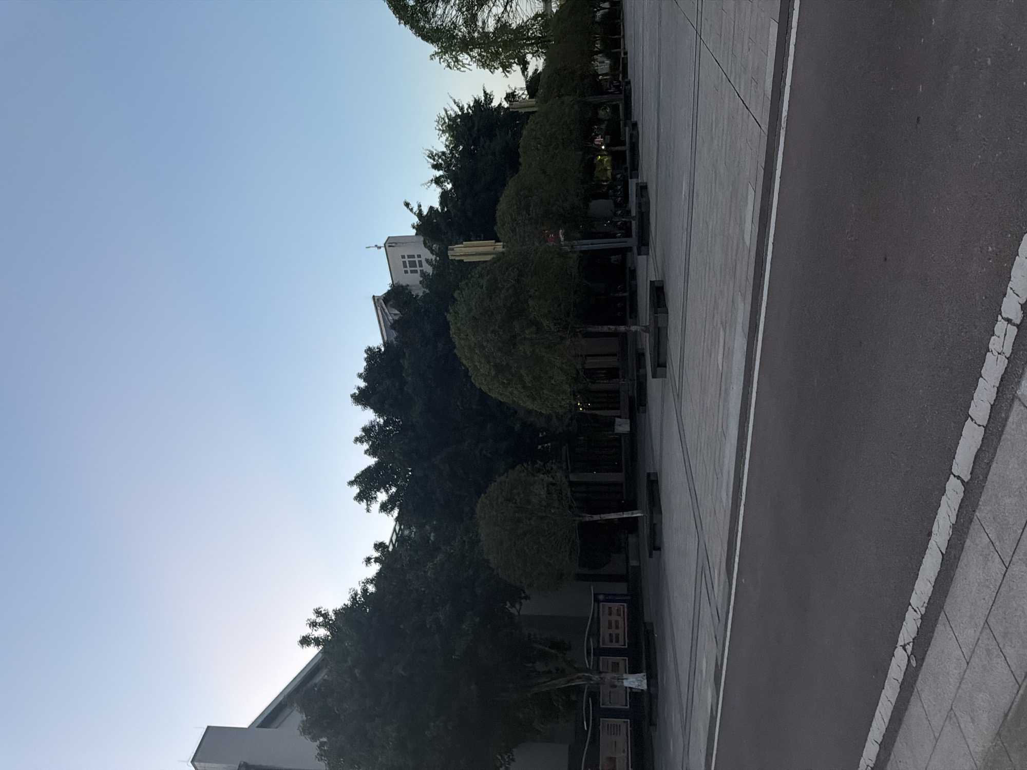 The image depicts an outdoor scene at dusk or dawn in Jiangjin, China, featuring a paved plaza with several trees. A dark asphalt road with white markings runs across the foreground, separating the viewer from the plaza. The plaza itself is paved with large, light-colored square tiles and features several dark, rectangular benches. A row of trees with rounded canopies is planted in the plaza, with some taller, denser trees in the background. Behind the trees and plaza, a modern building with a white facade and a distinct angular roofline is visible, along with other structures. The sky is clear and pale blue, indicating low light conditions. No people or animals are present in the image.