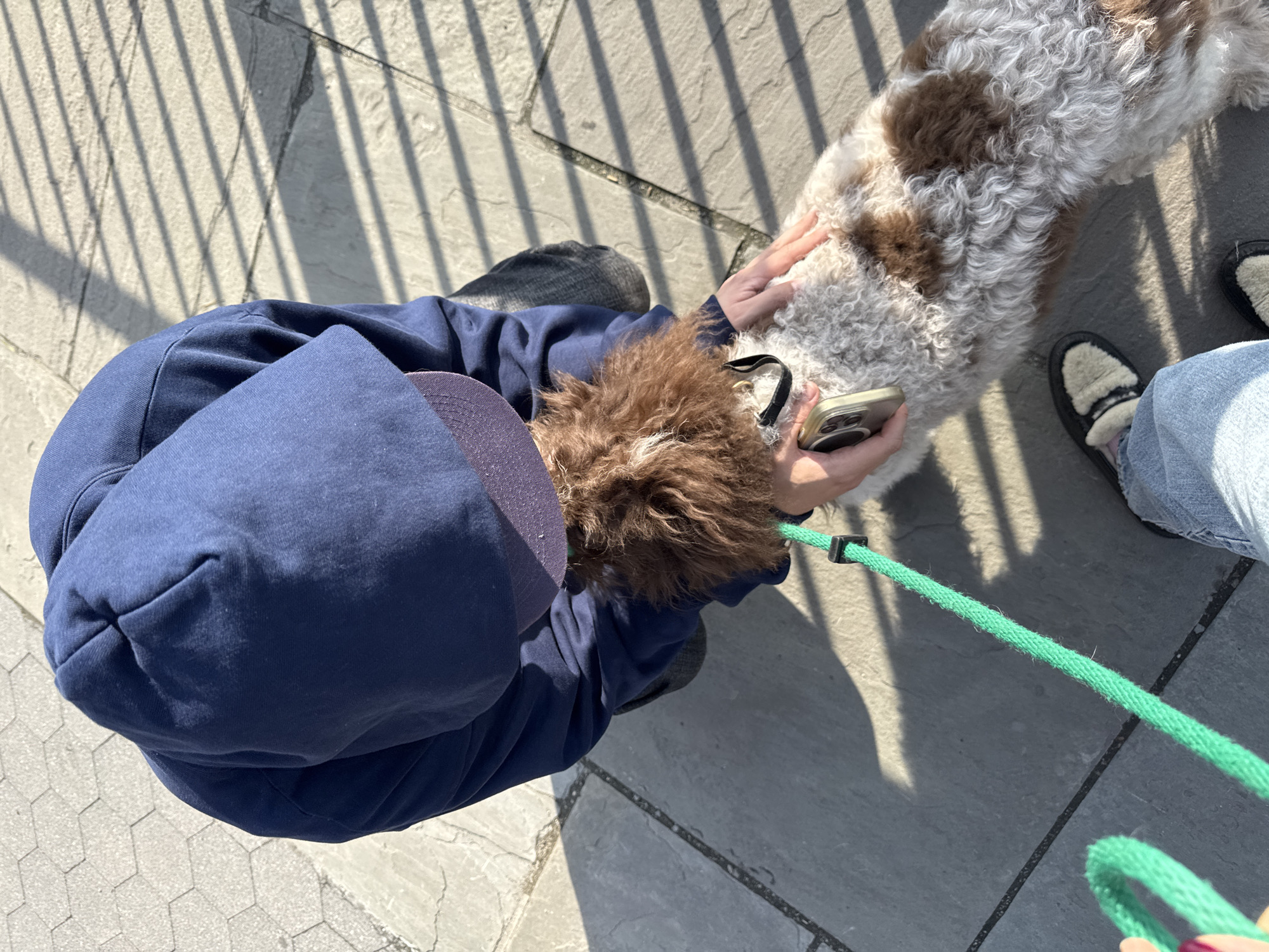 A high-angle shot depicts a person in a navy blue hooded sweatshirt and baseball cap petting a brown and white dog. The person is holding a cell phone in one hand. The dog is on a green leash held by another person, visible only from the knees down, wearing blue jeans and loafers. The location appears to be an outdoor area with patterned stone pavement. The setting includes shadows cast by a fence or railing. Although it is difficult to know for certain without additional context, this is probably New York City.